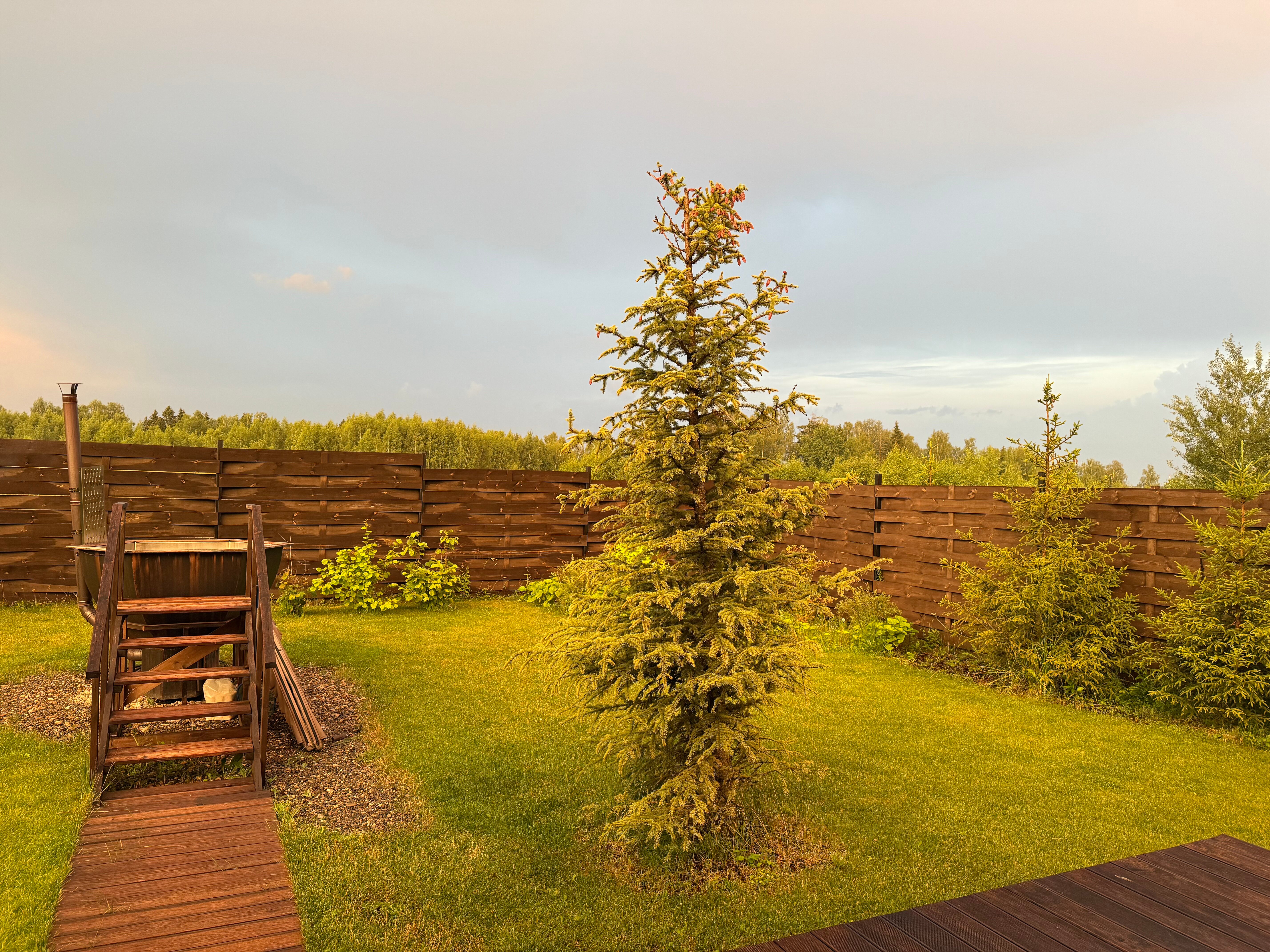 Фото Чантриум