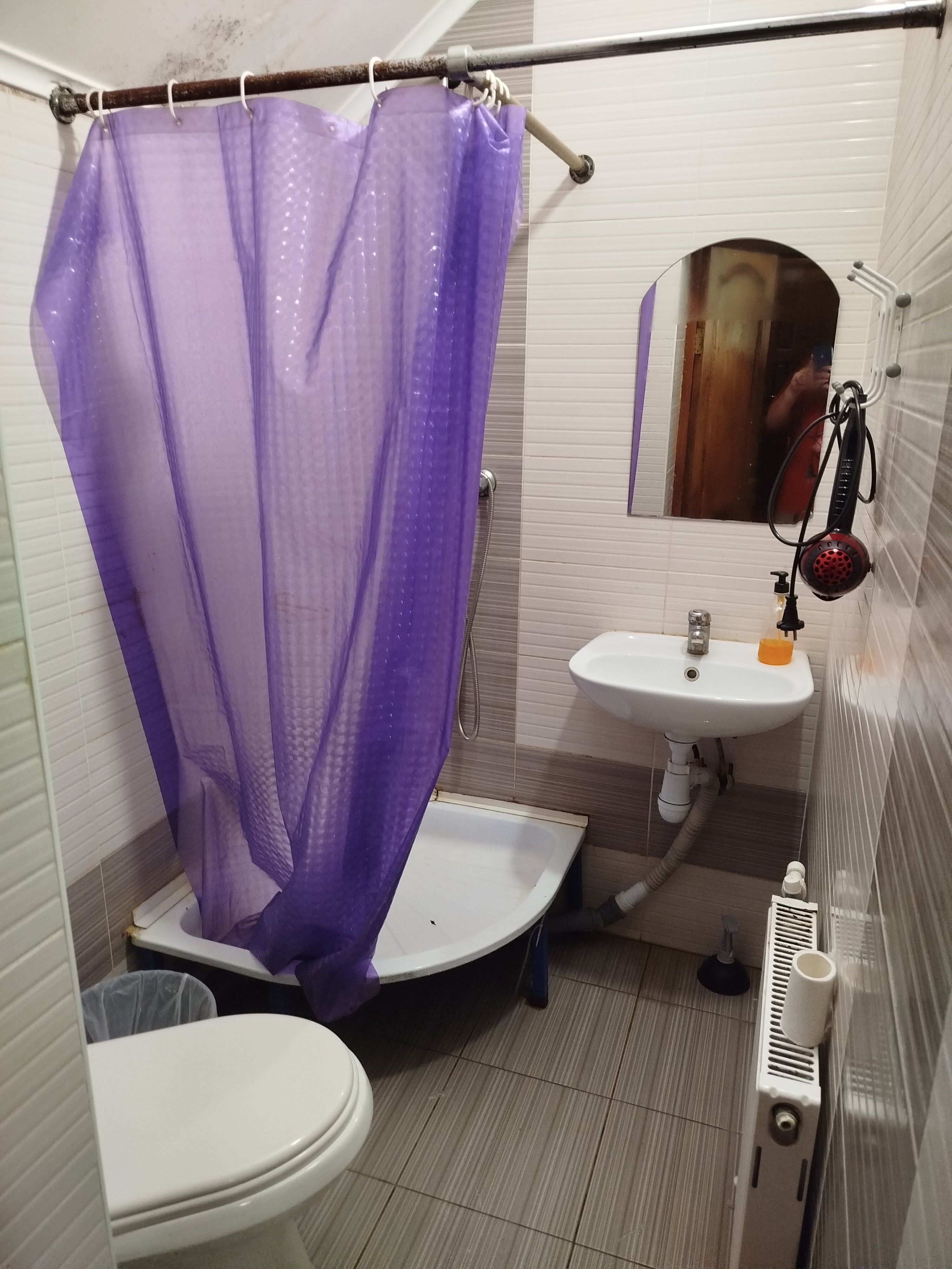 Фото Феникс