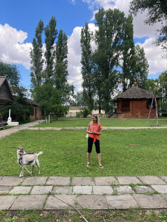 Фото Фазенда