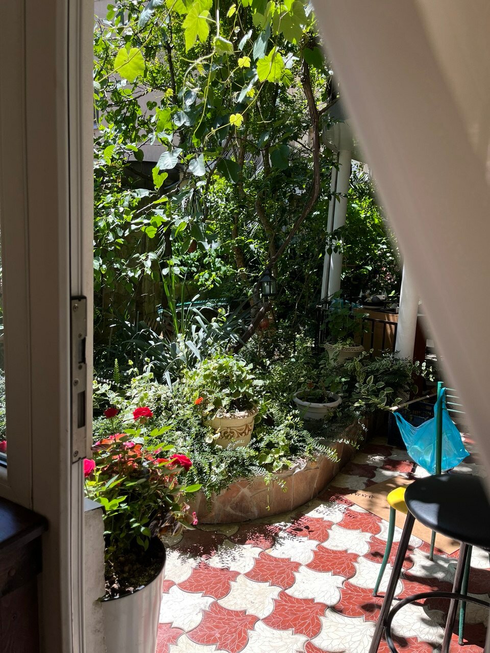 Фото Гостевой дом Гавань-Адлер