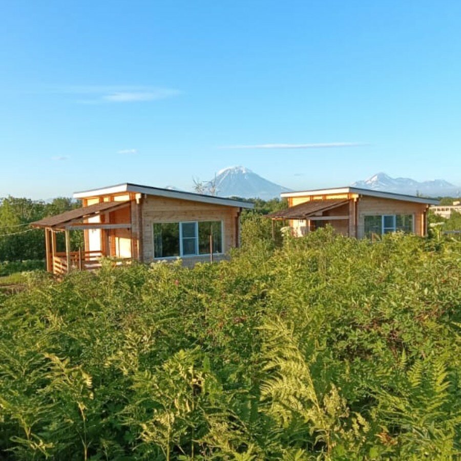 Фото Ипиней