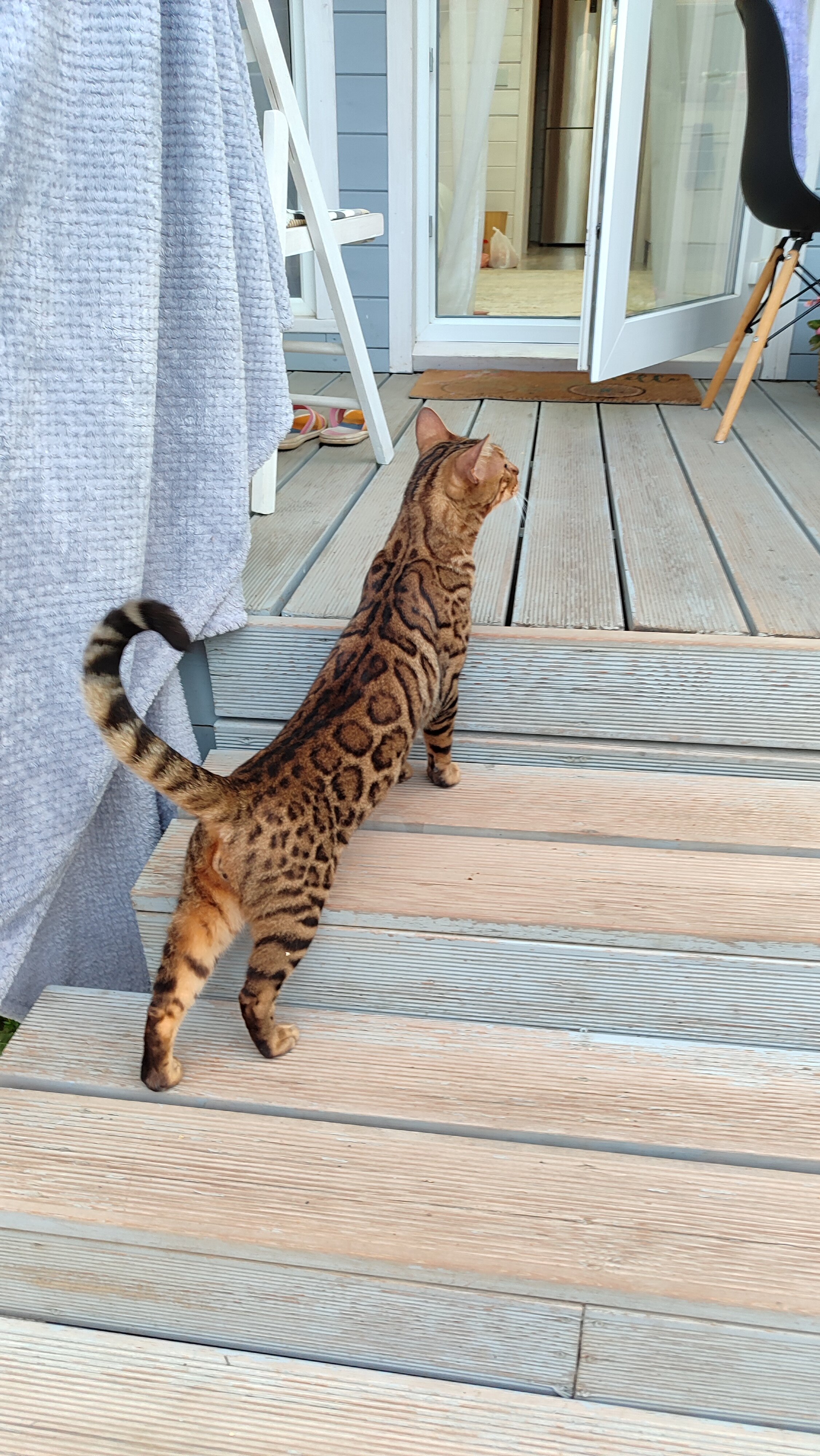 Фото Тихая Гавань