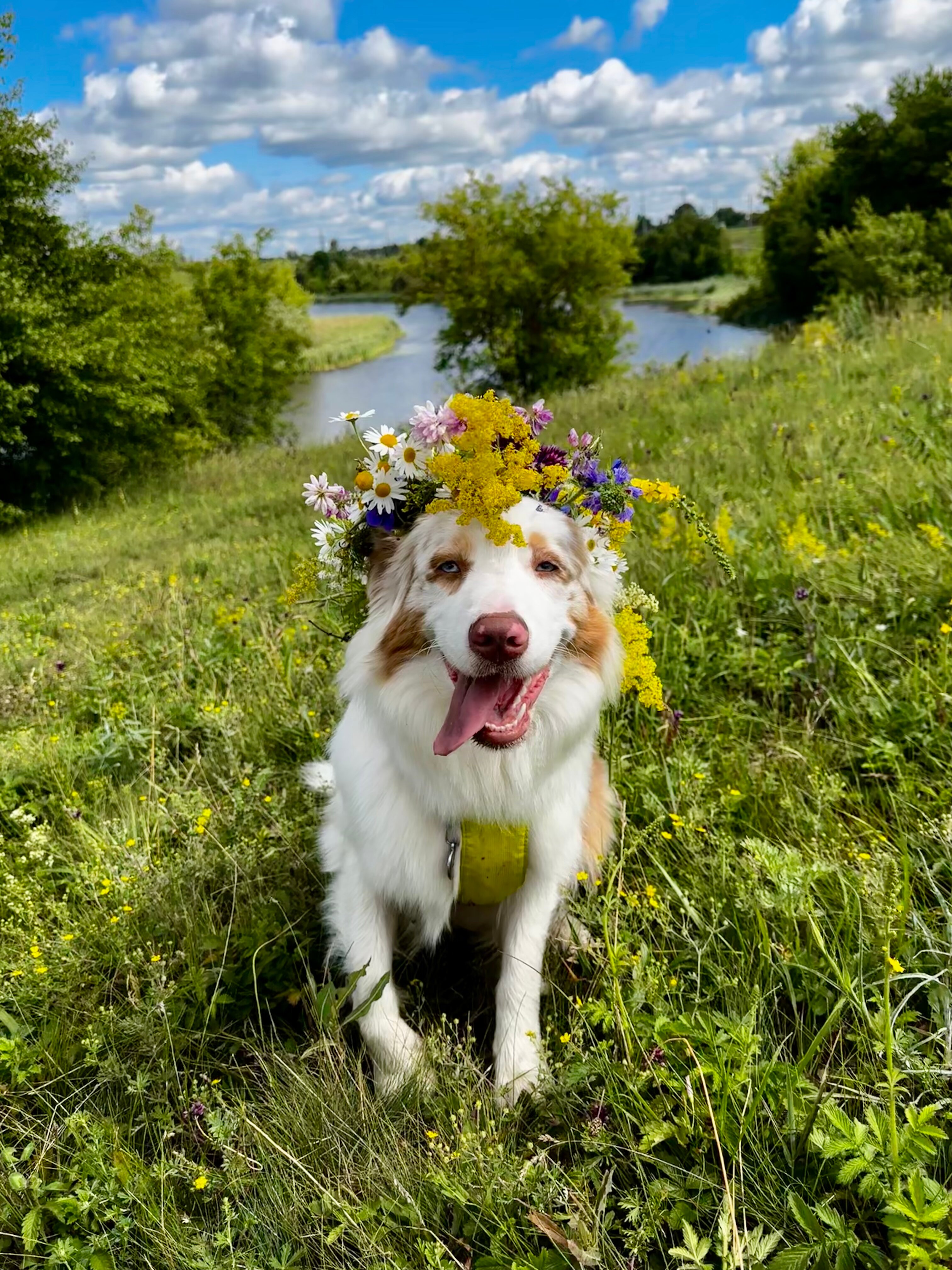Фото Горыныч Хаус