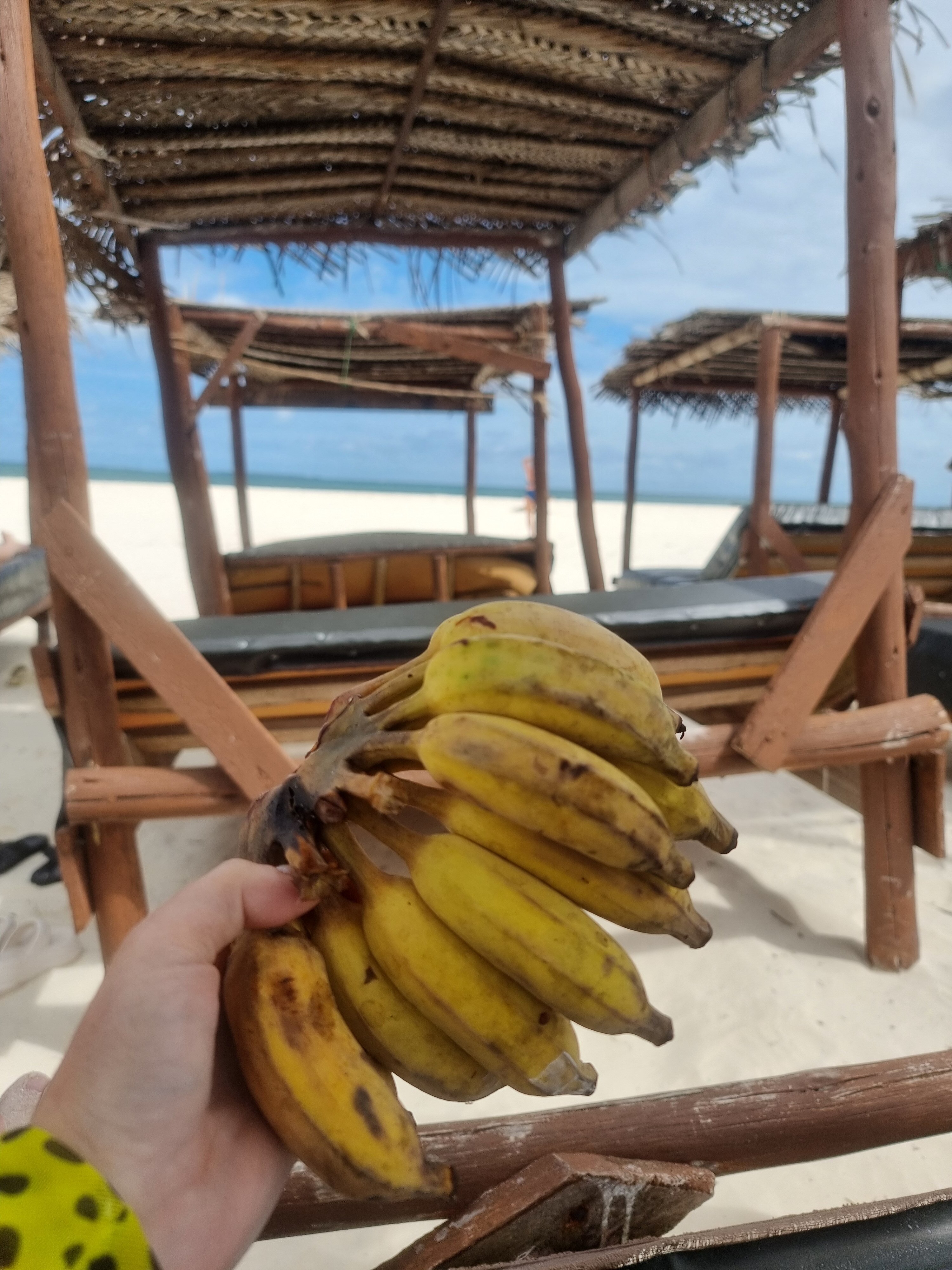 Фото Tropicana Kendwa Beach