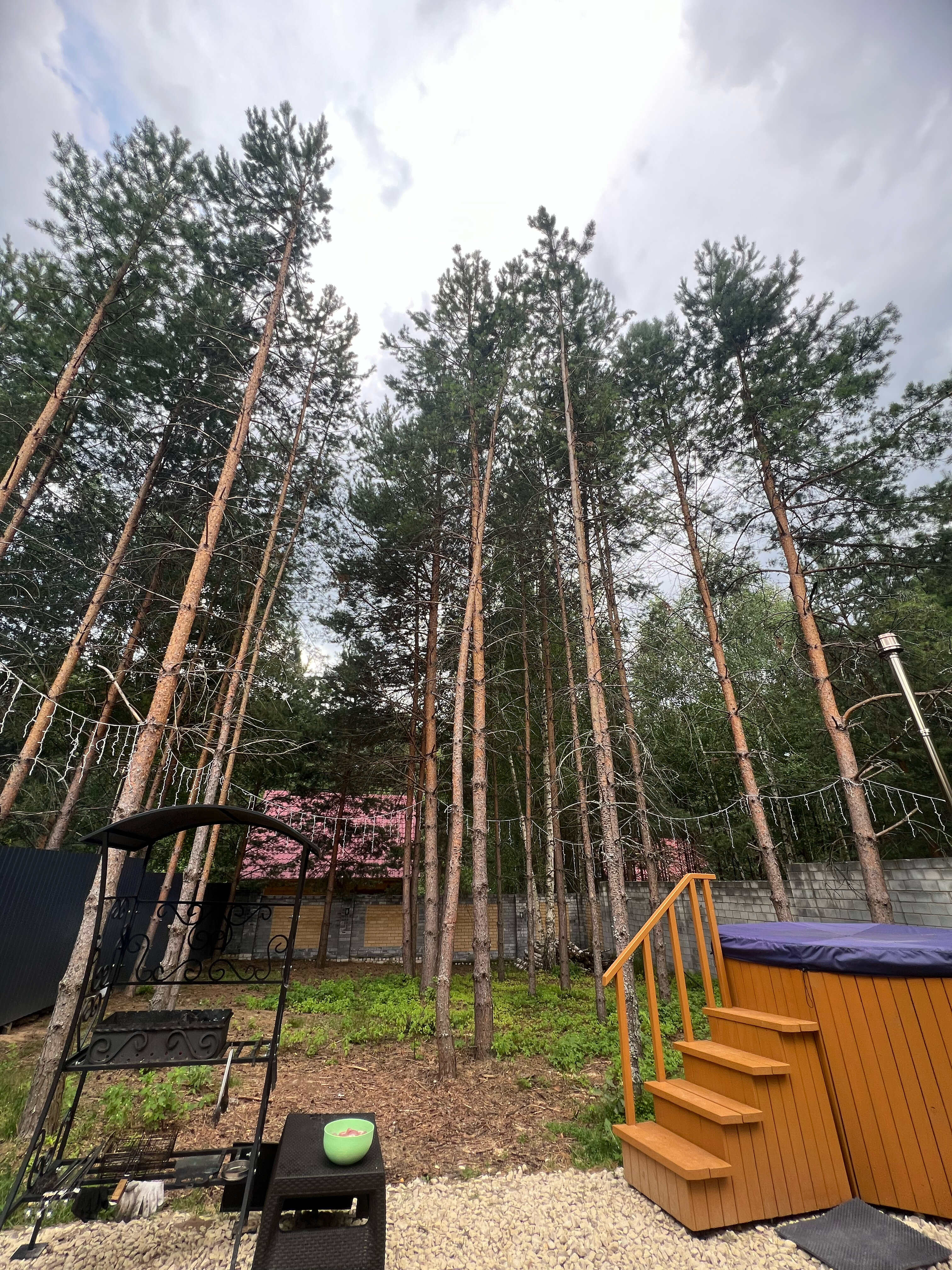 Фото БарнБаш