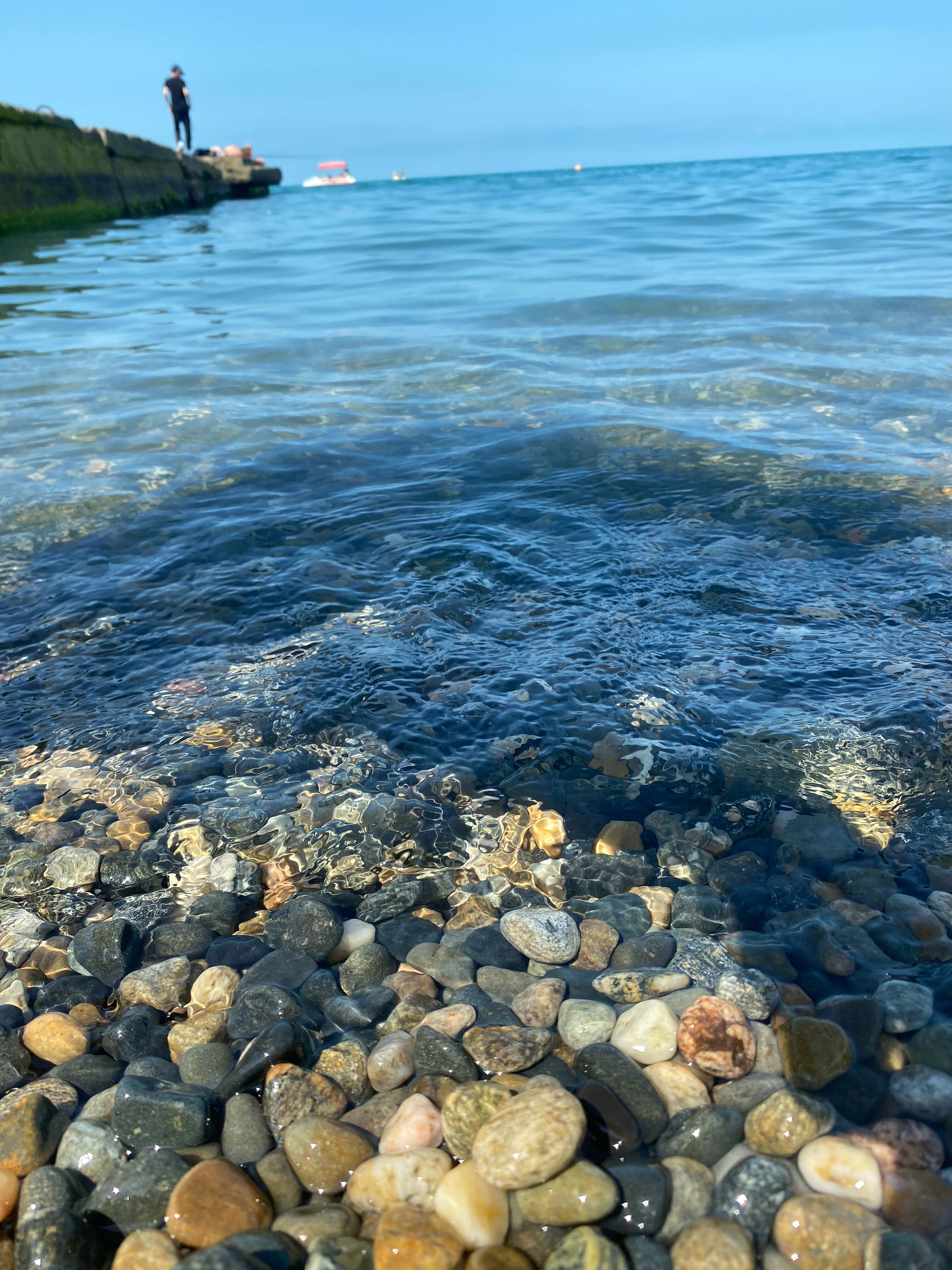 Фото Айвори