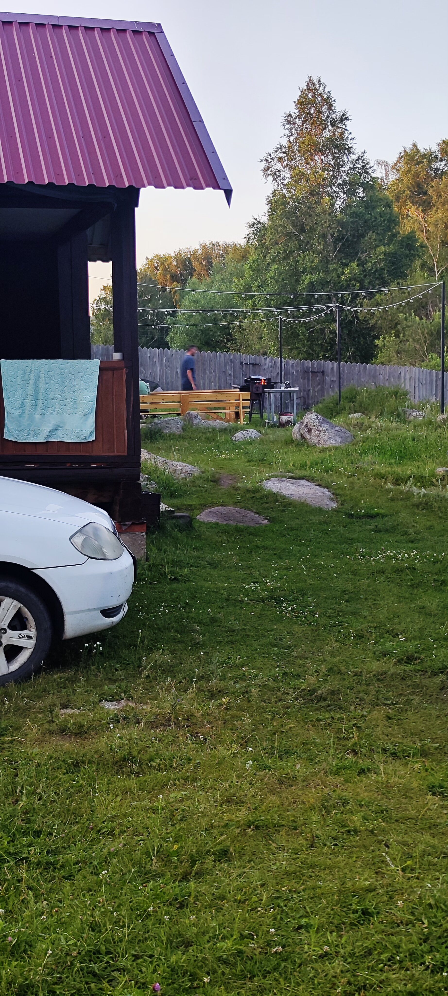 Фото Медная Сова