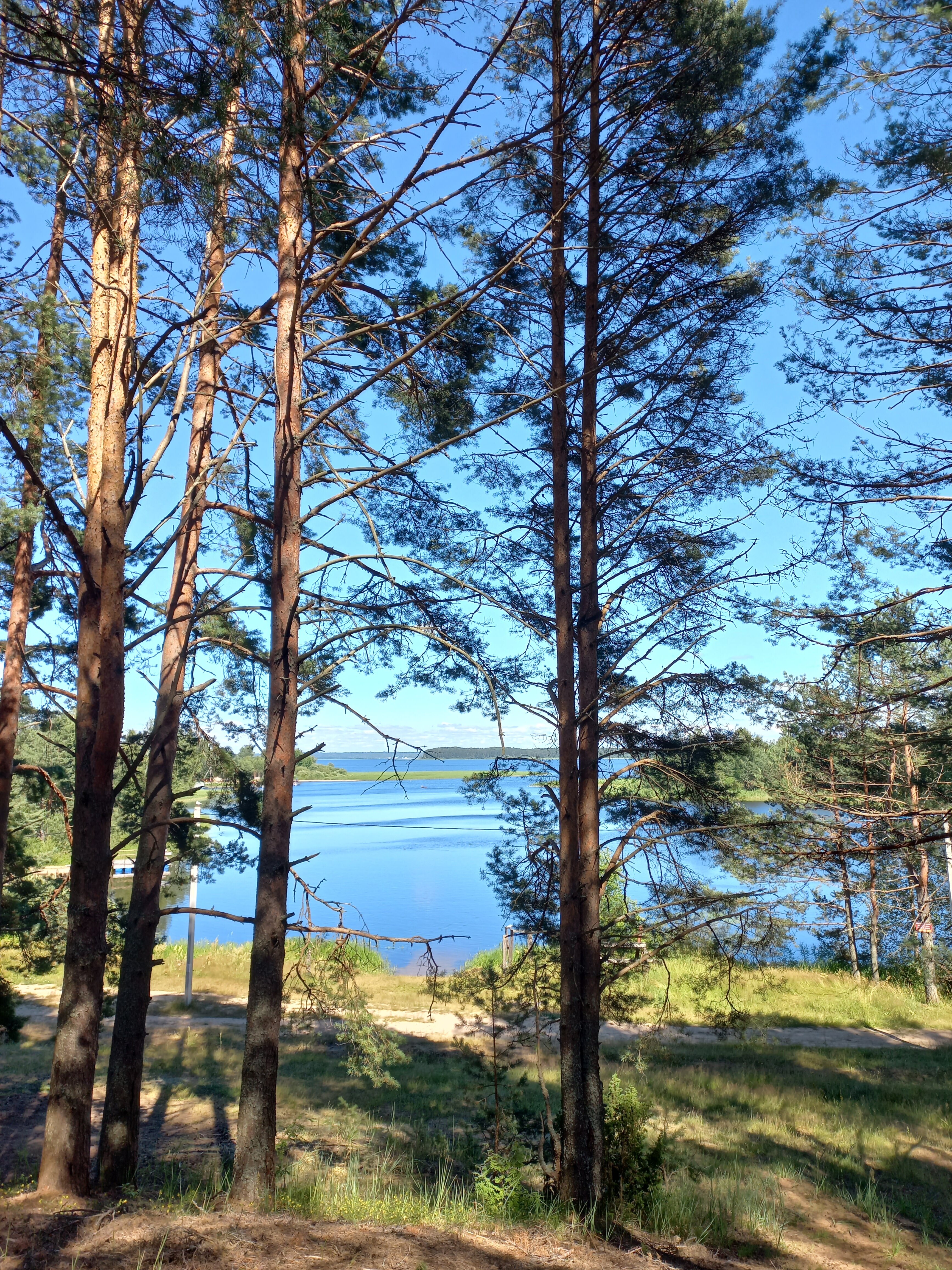 Фото 179204430868