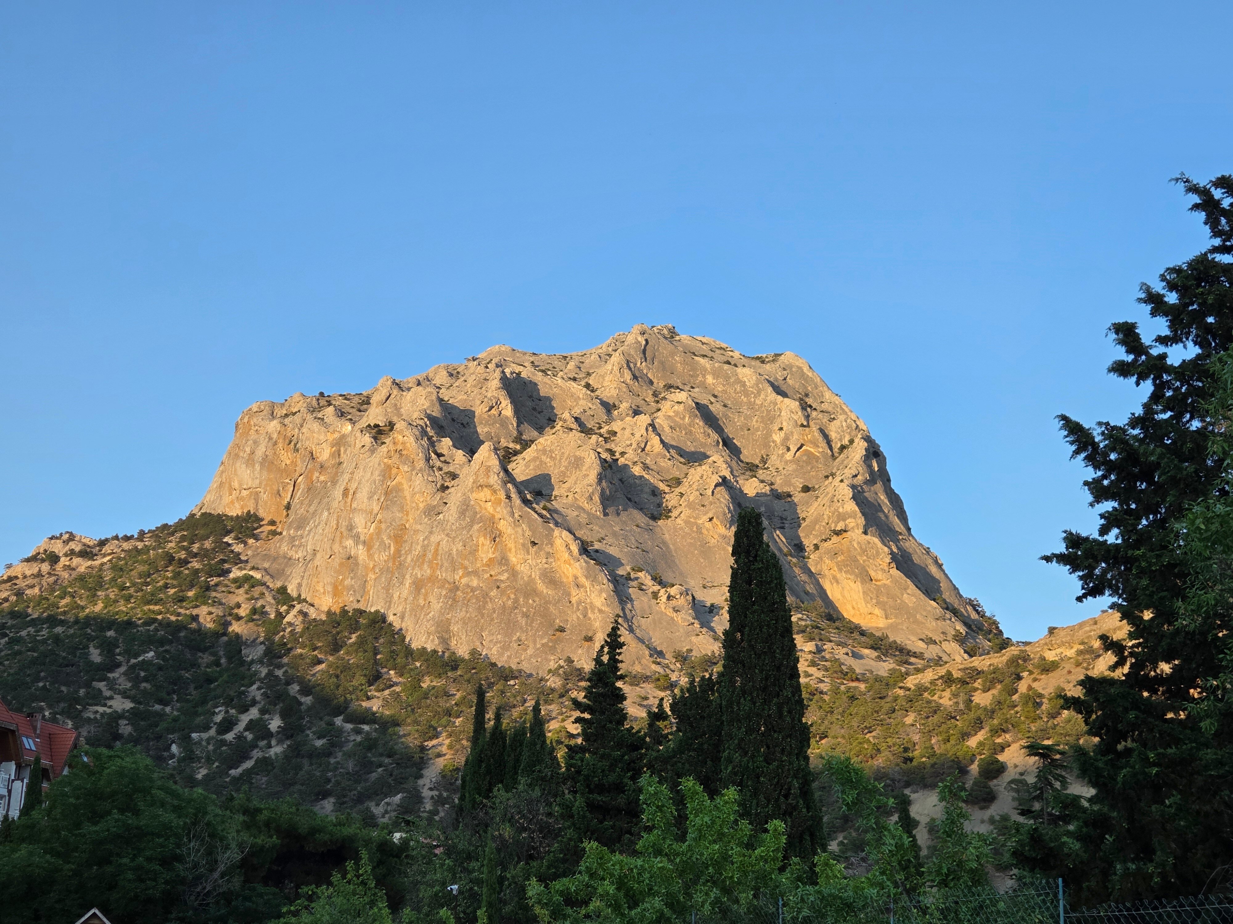 Фото Гостевой дом Миндальный 39