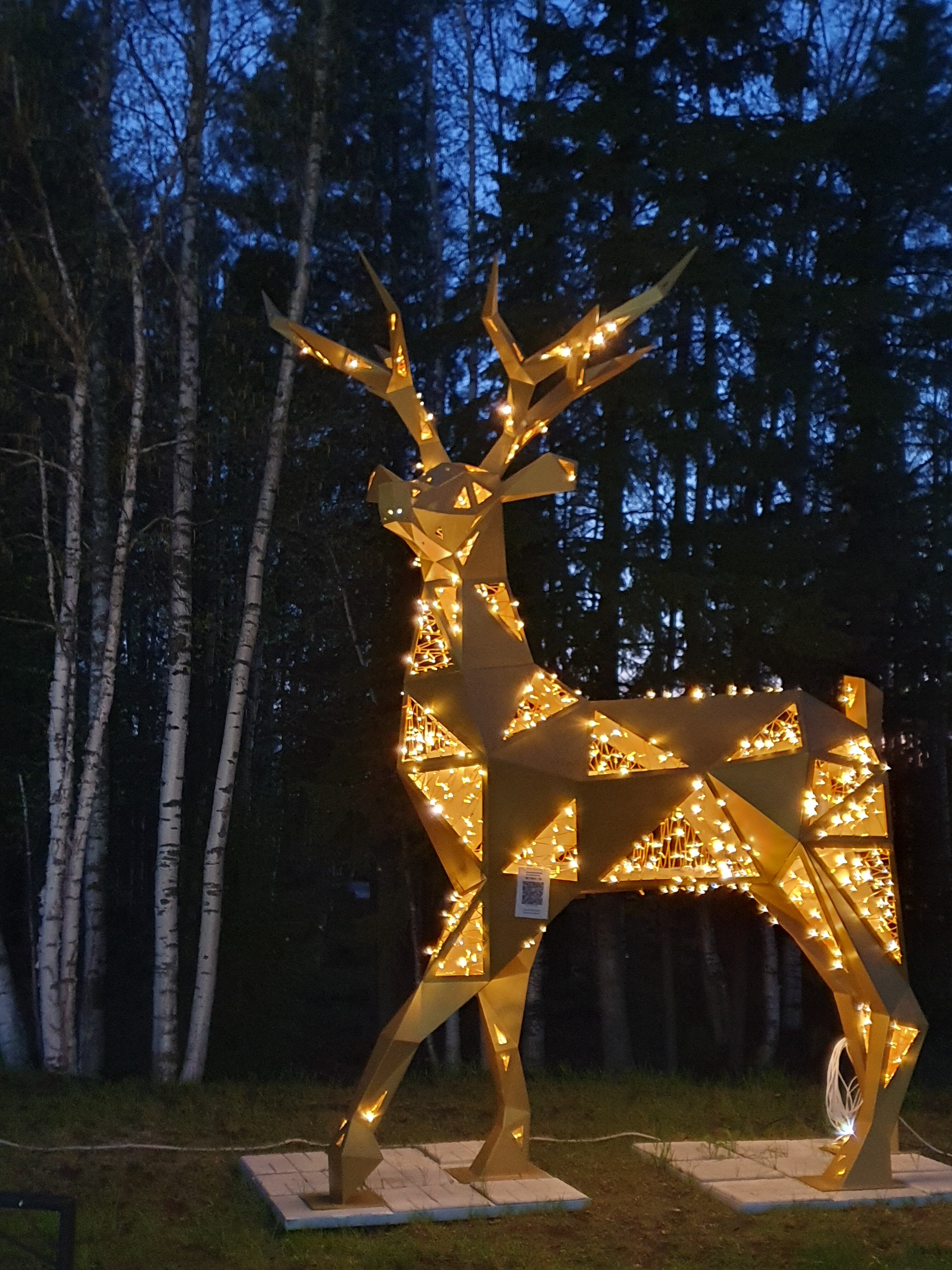 Фото Лайнер