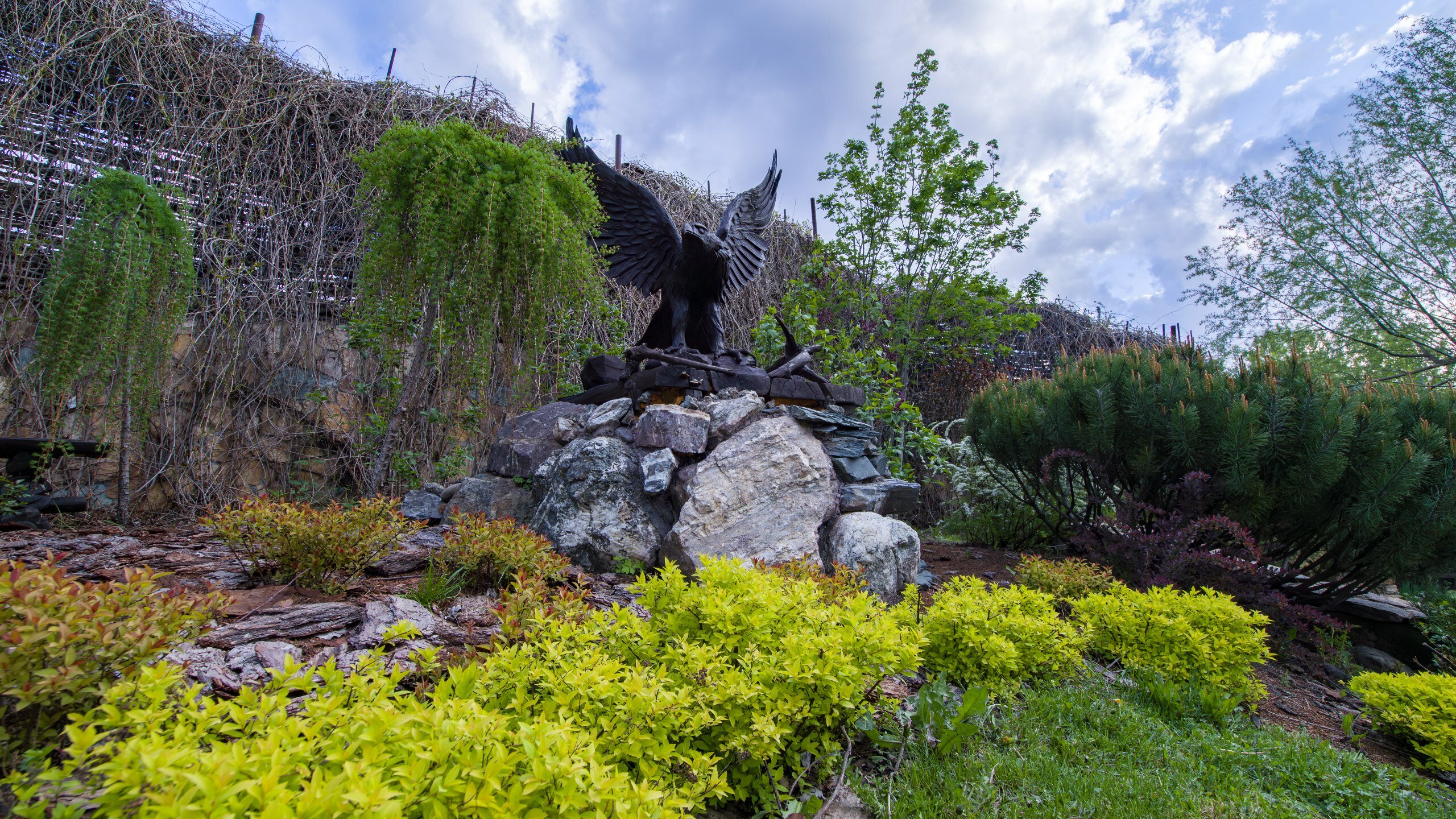 Фото SPA-Курорт Кедровый