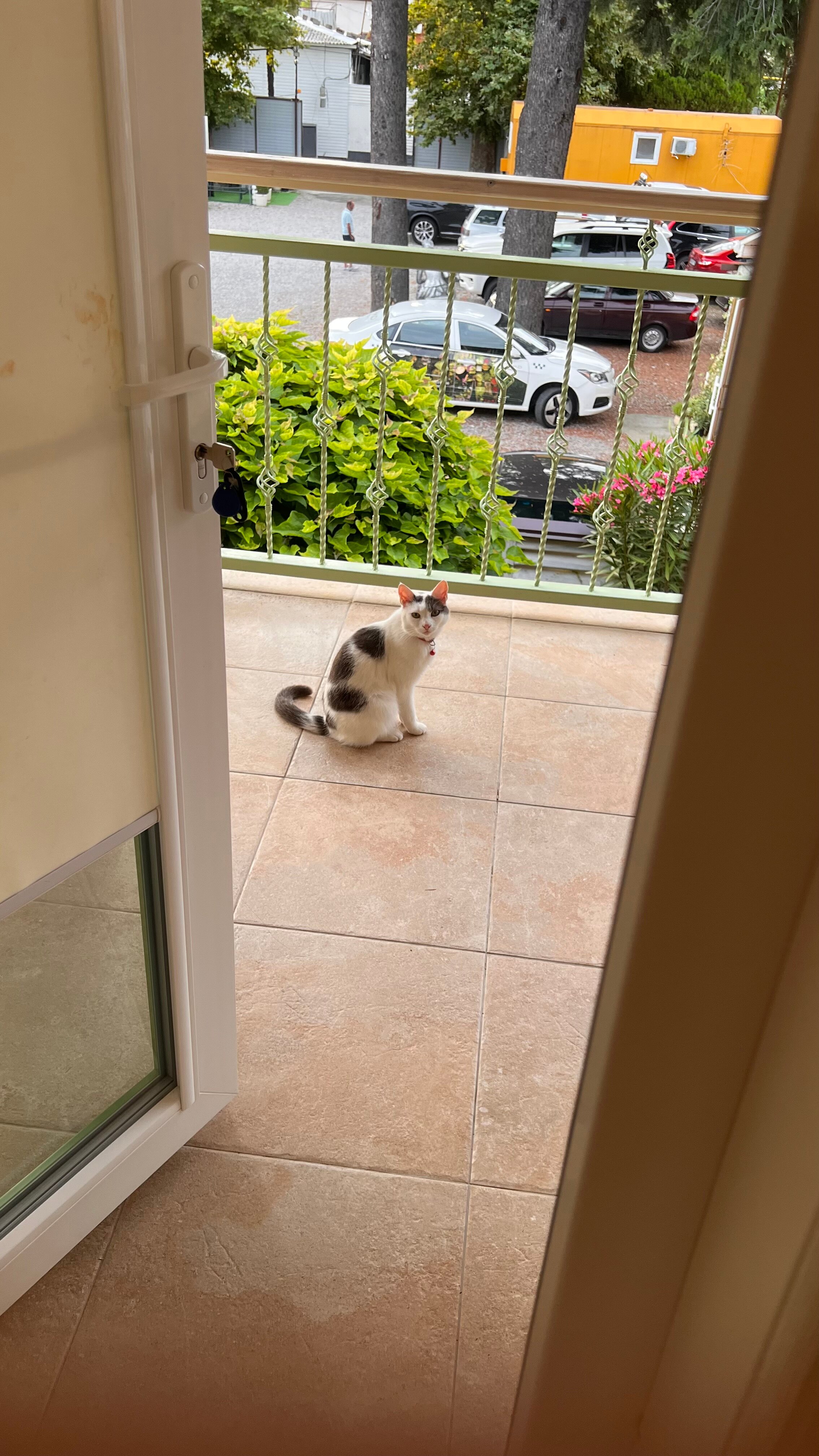 Фото Галла Мария