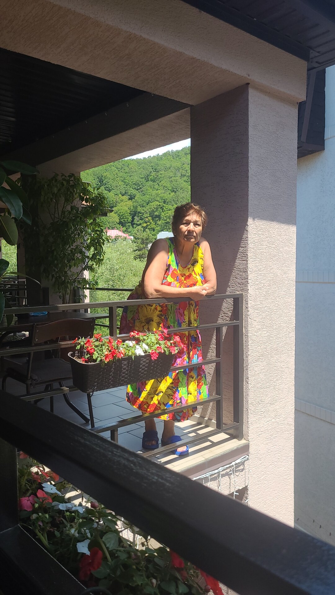 Фото Брауни