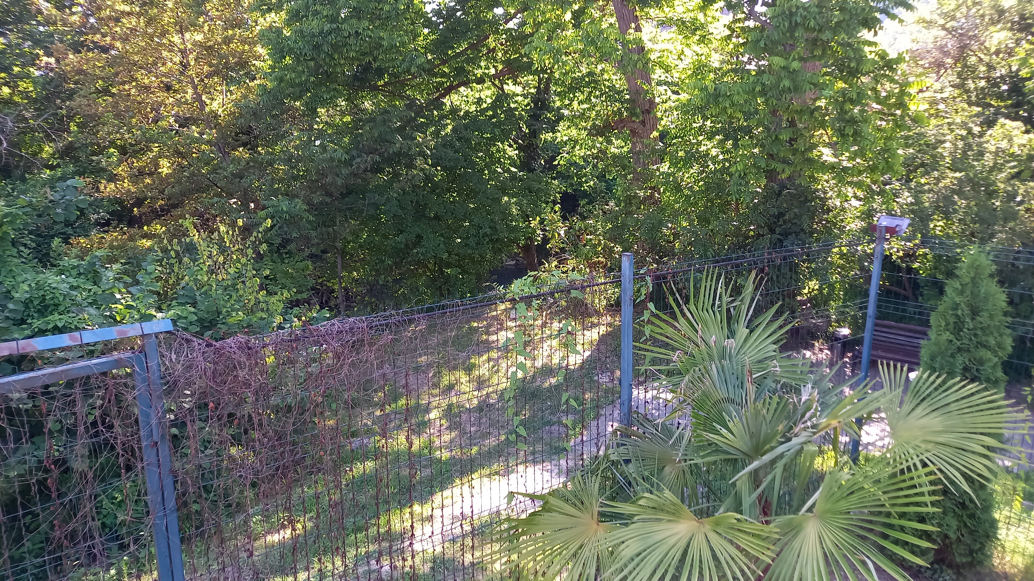 Фото Коралловый Риф