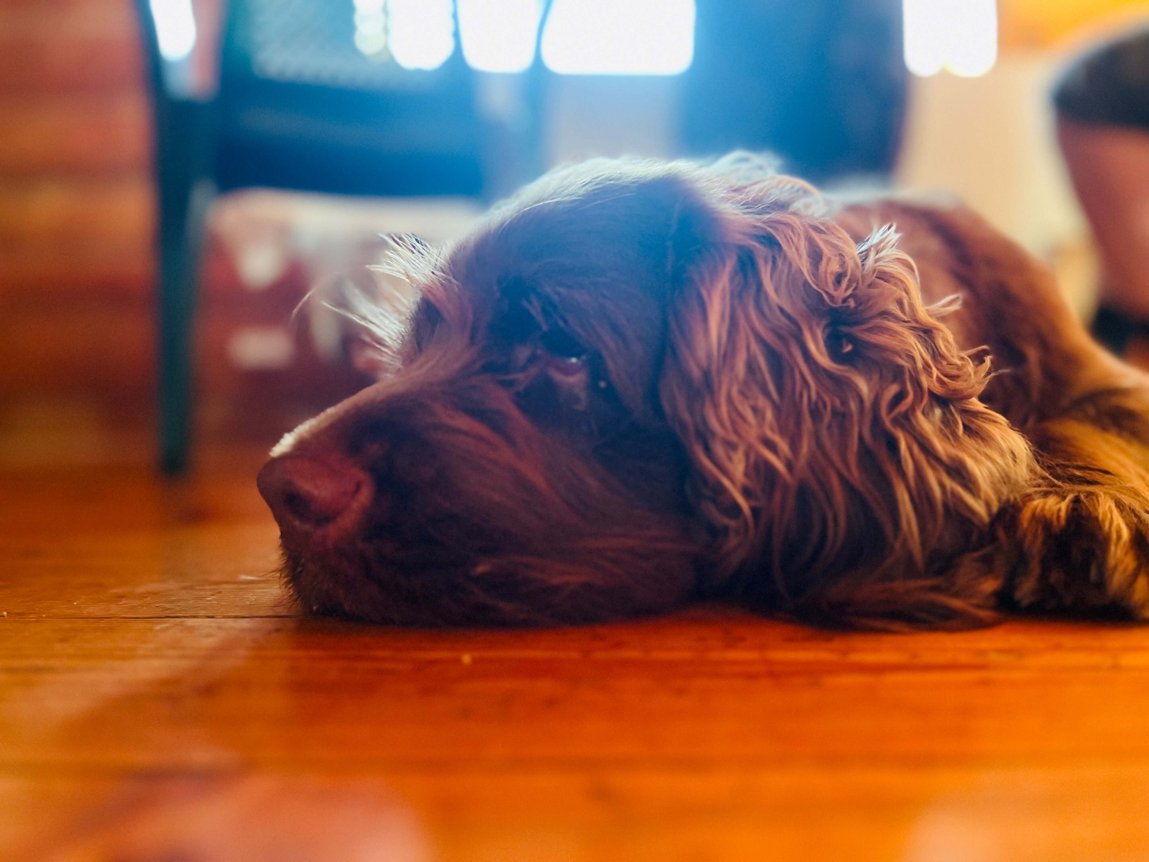 Фото Карху Сегозеро