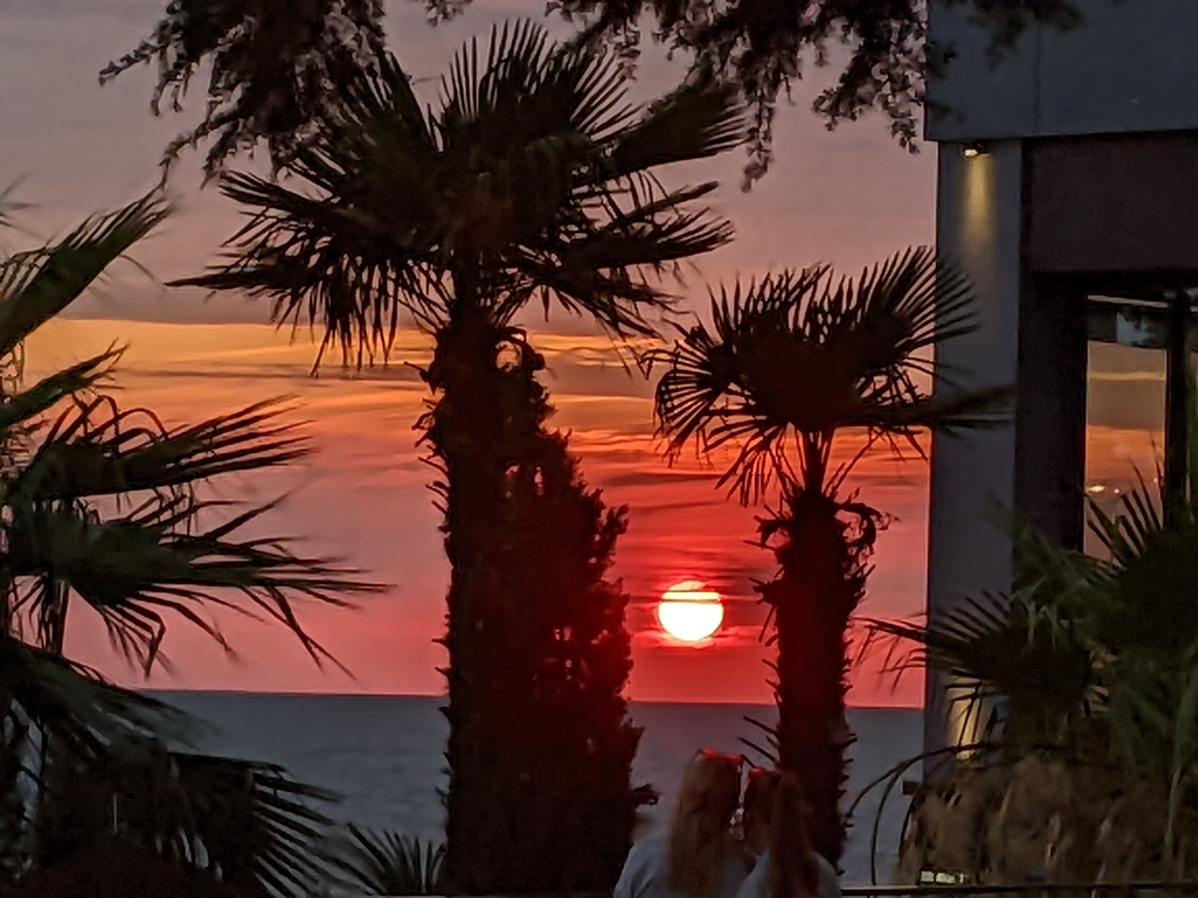 Фото Удачный