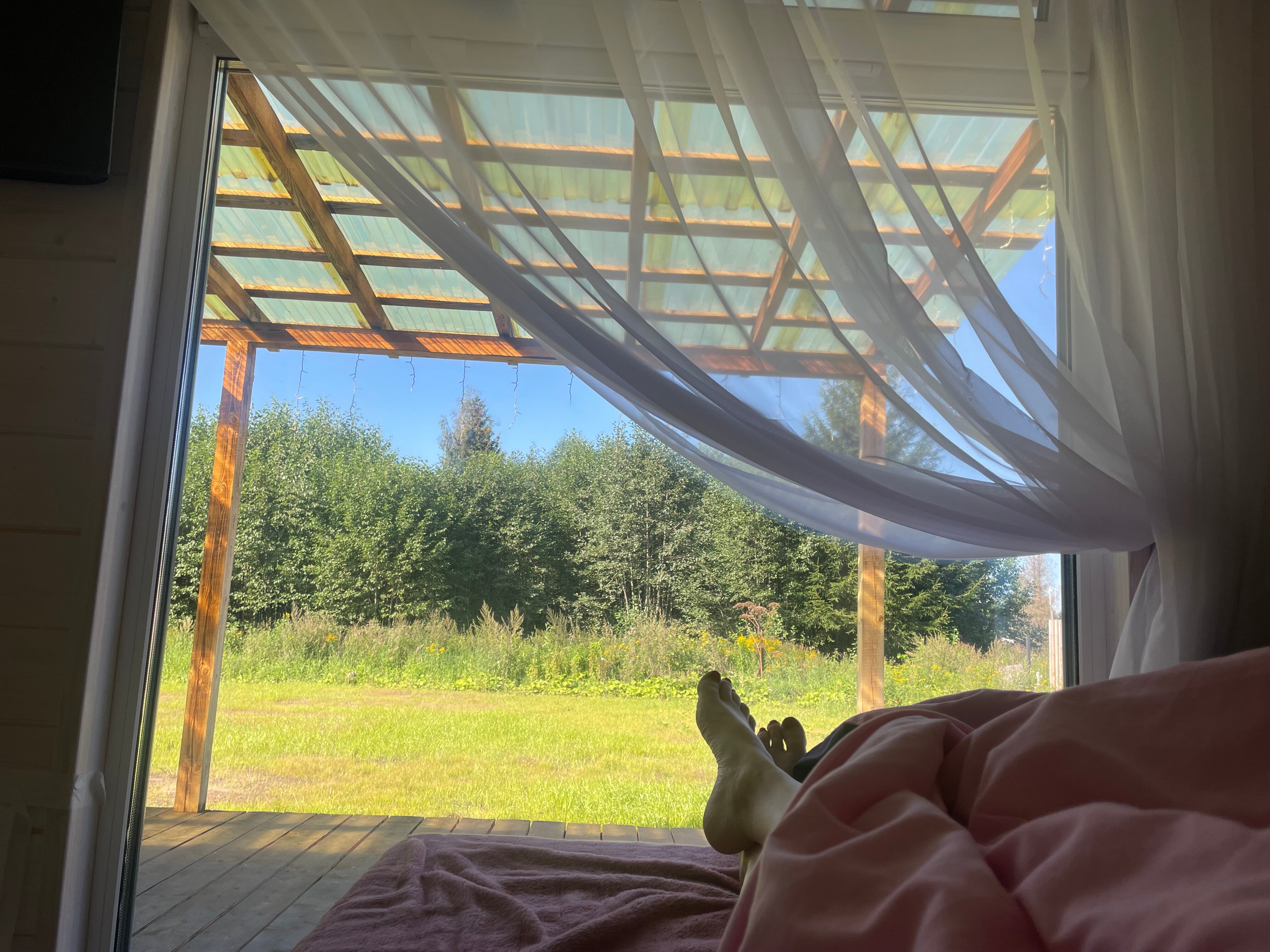 Фото Forest life