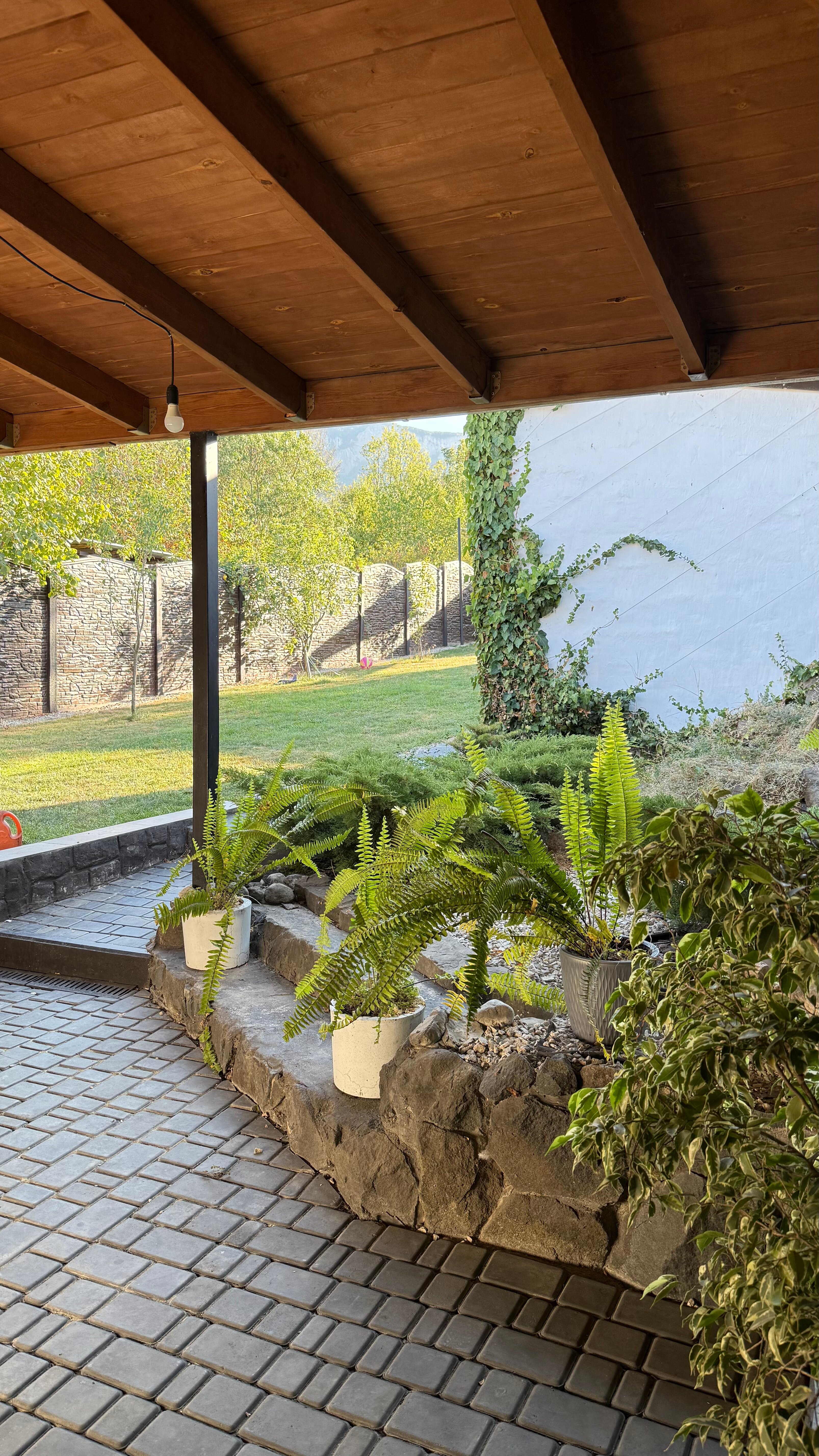 Фото Коккоз