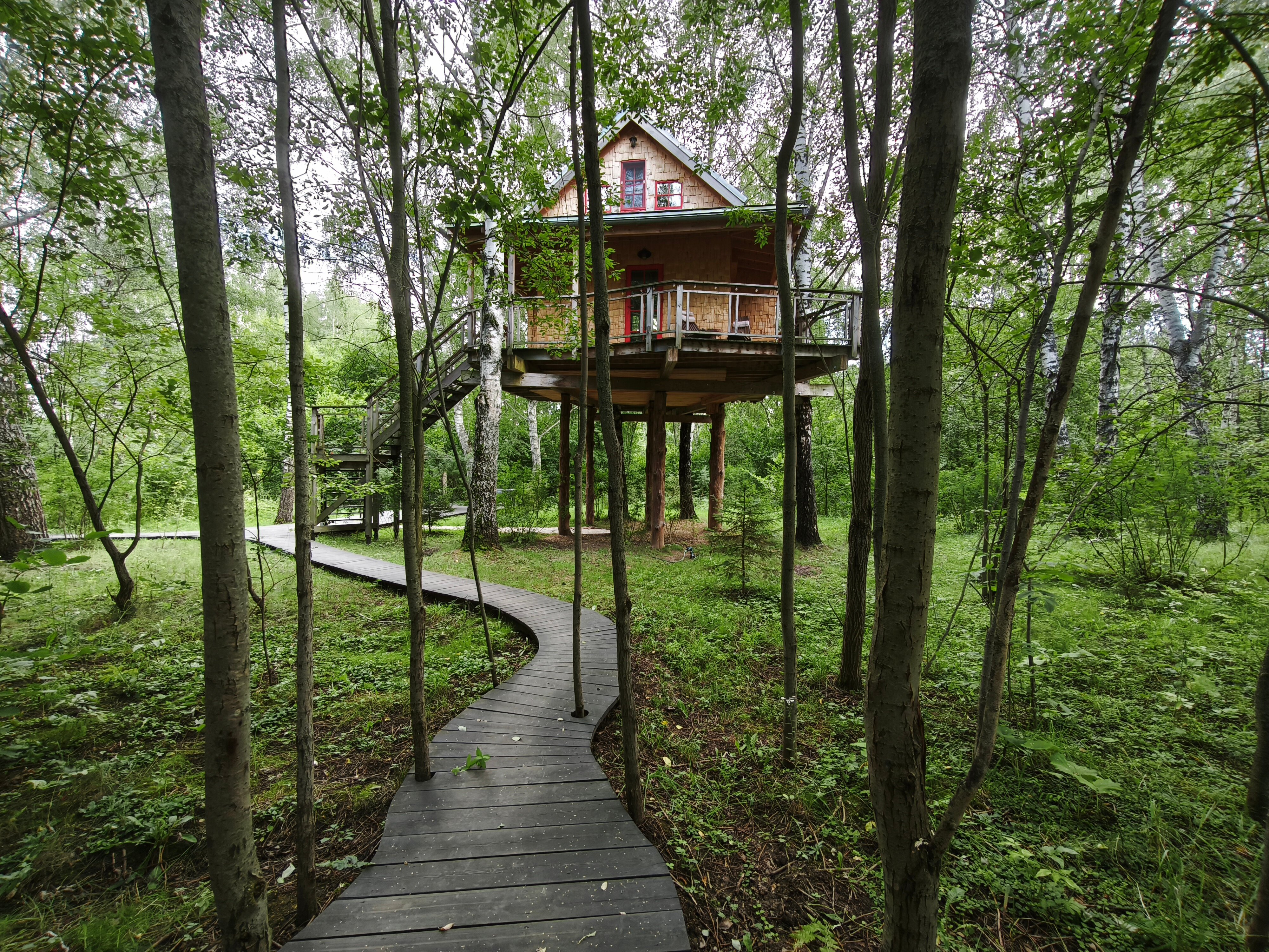 Фото Лапочкино гнездо Дома на деревьях