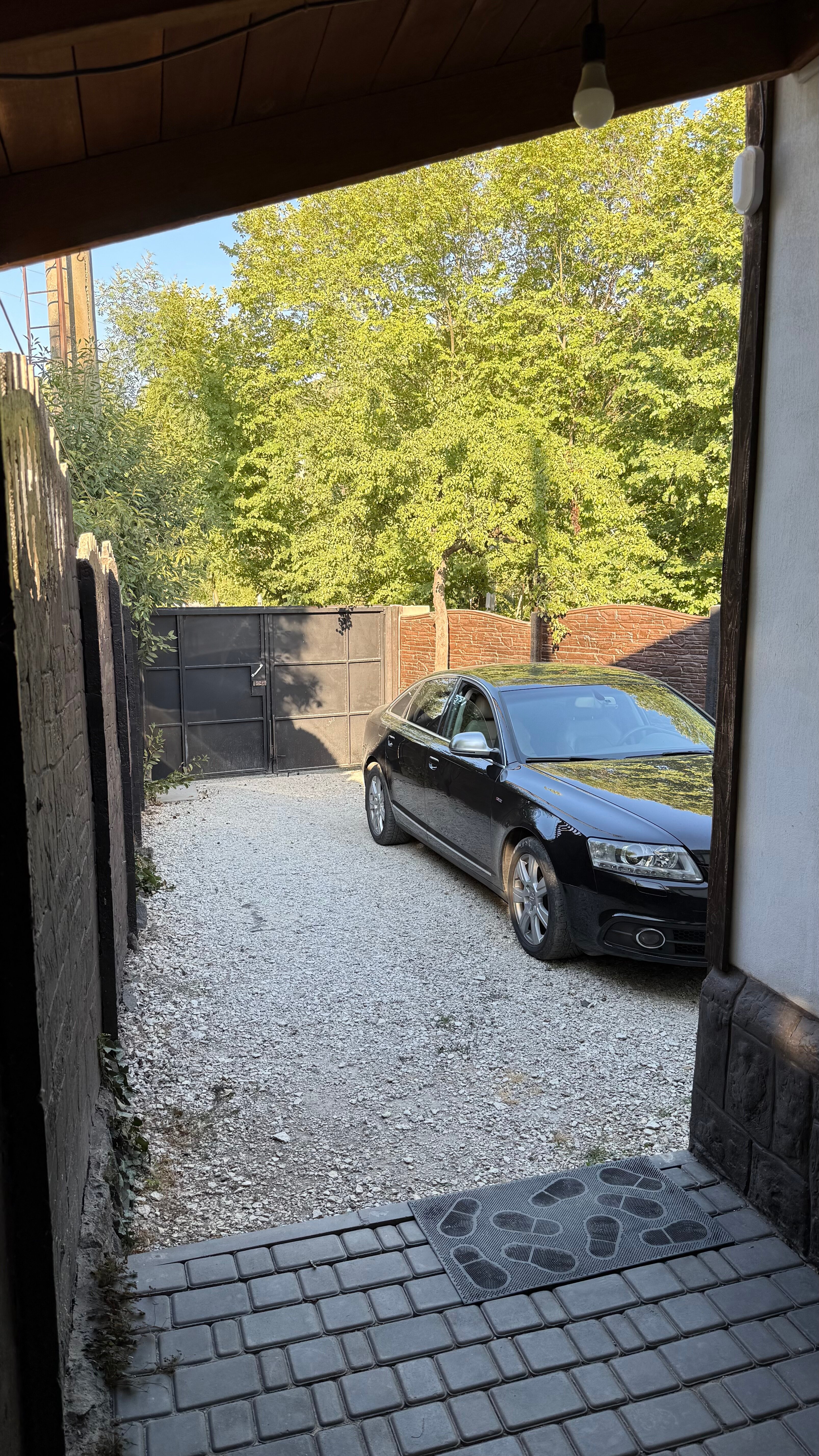 Фото Коккоз