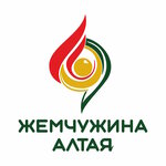 СШ Жемчужина Алтая (Papanincev Street, 96В), sports school