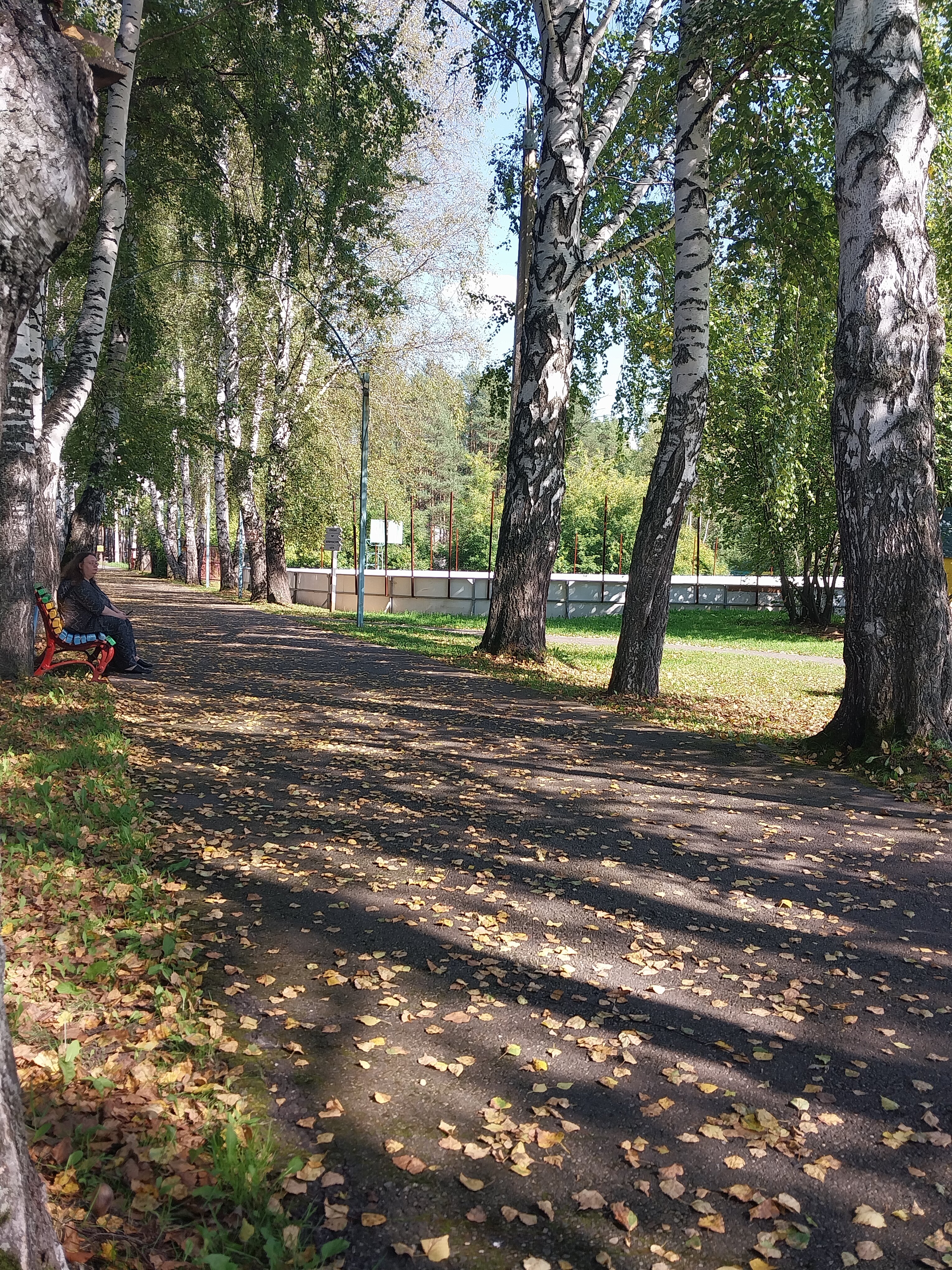 Фото Лесная сказка