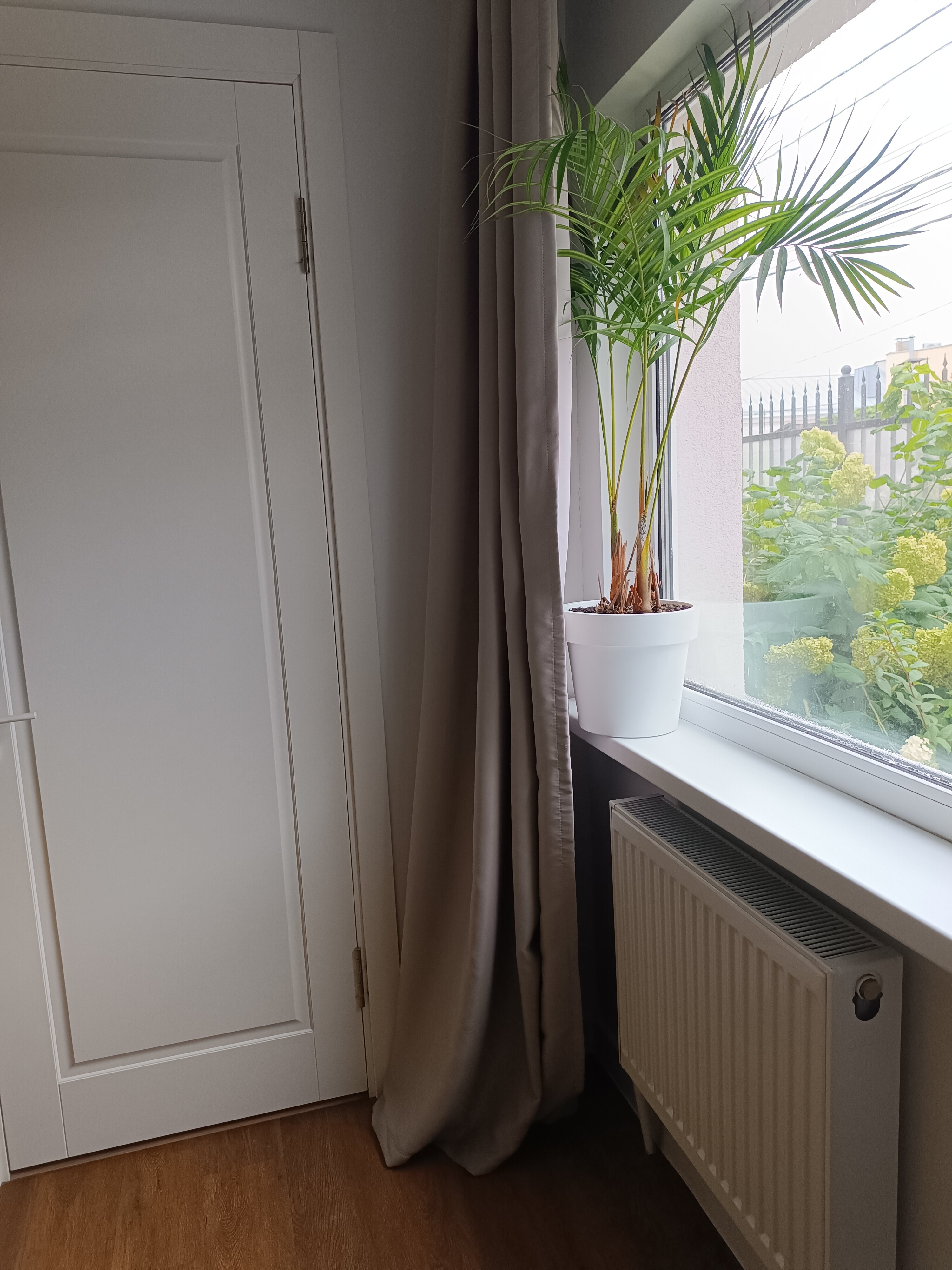 Фото Тульские каникулы