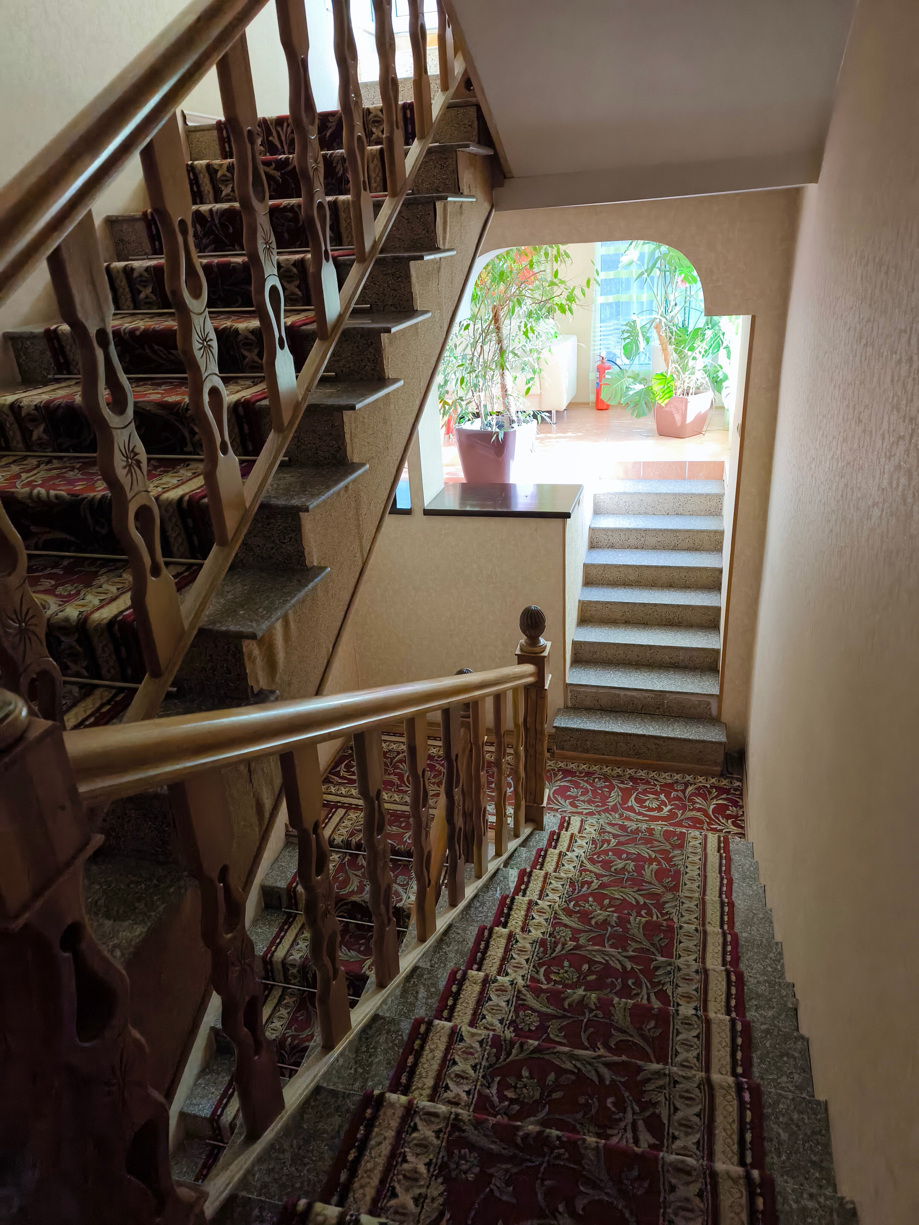 Фото Ренессанс