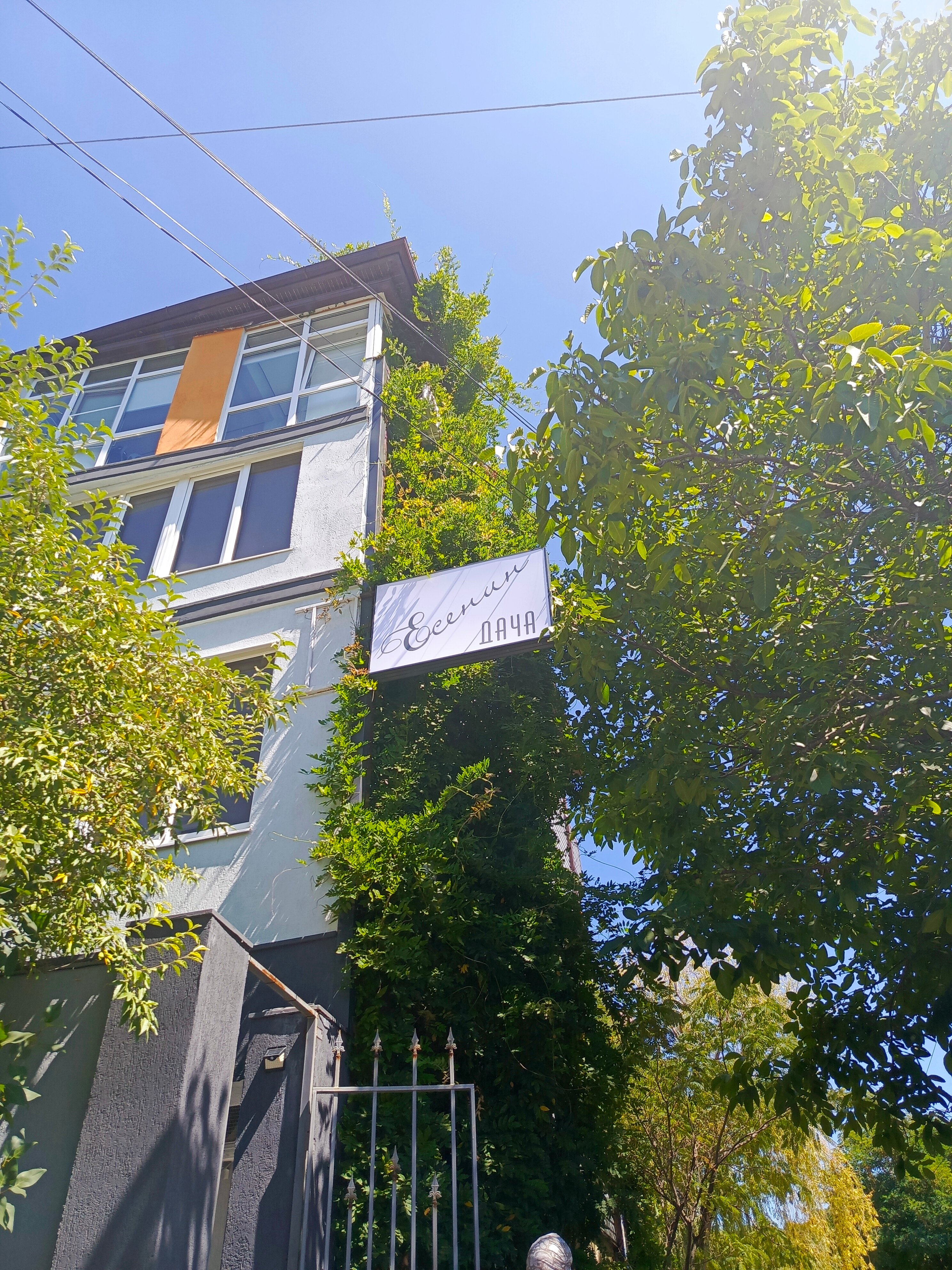 Фото Есенин Дача