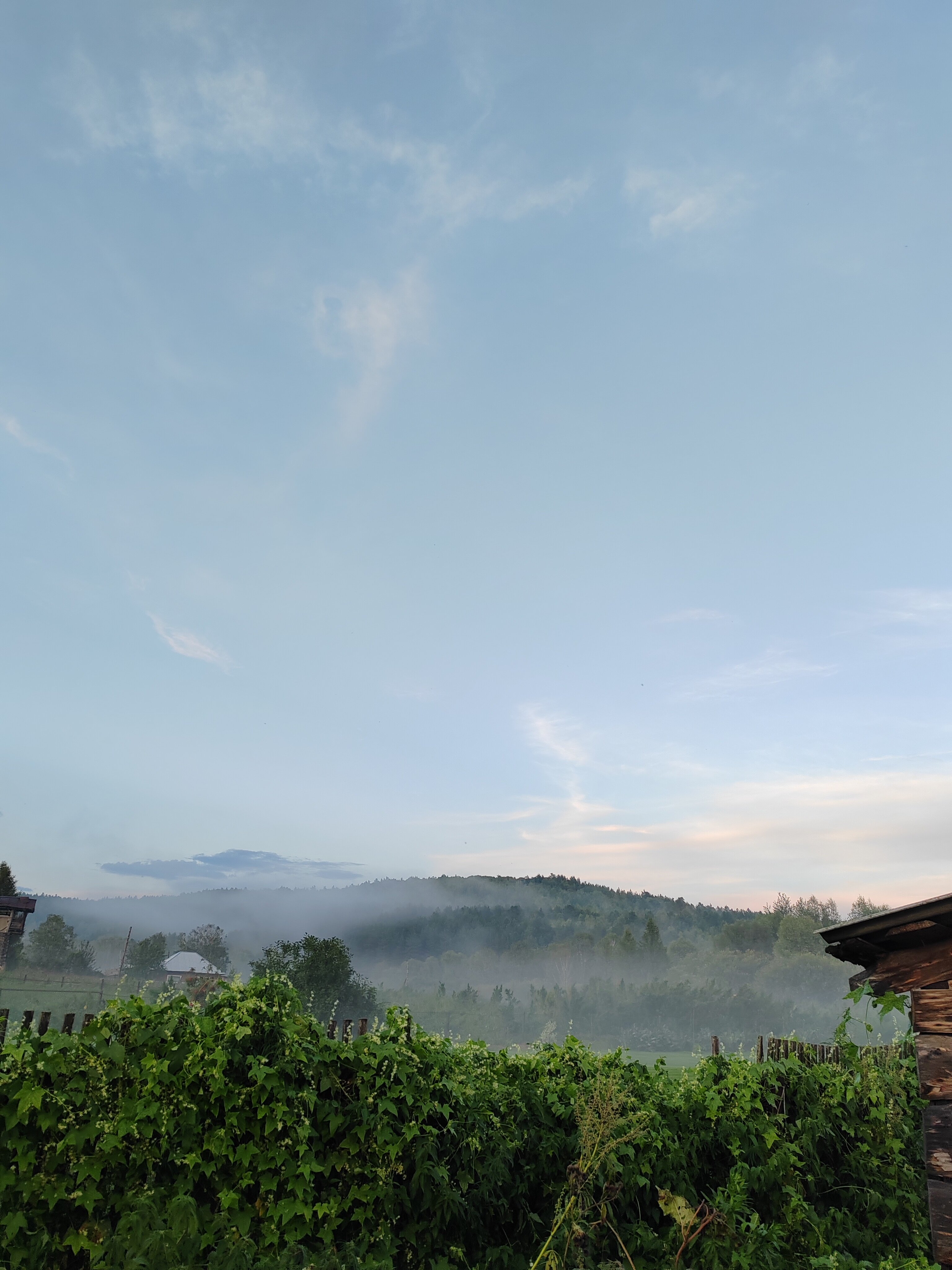 Фото Новые соседи