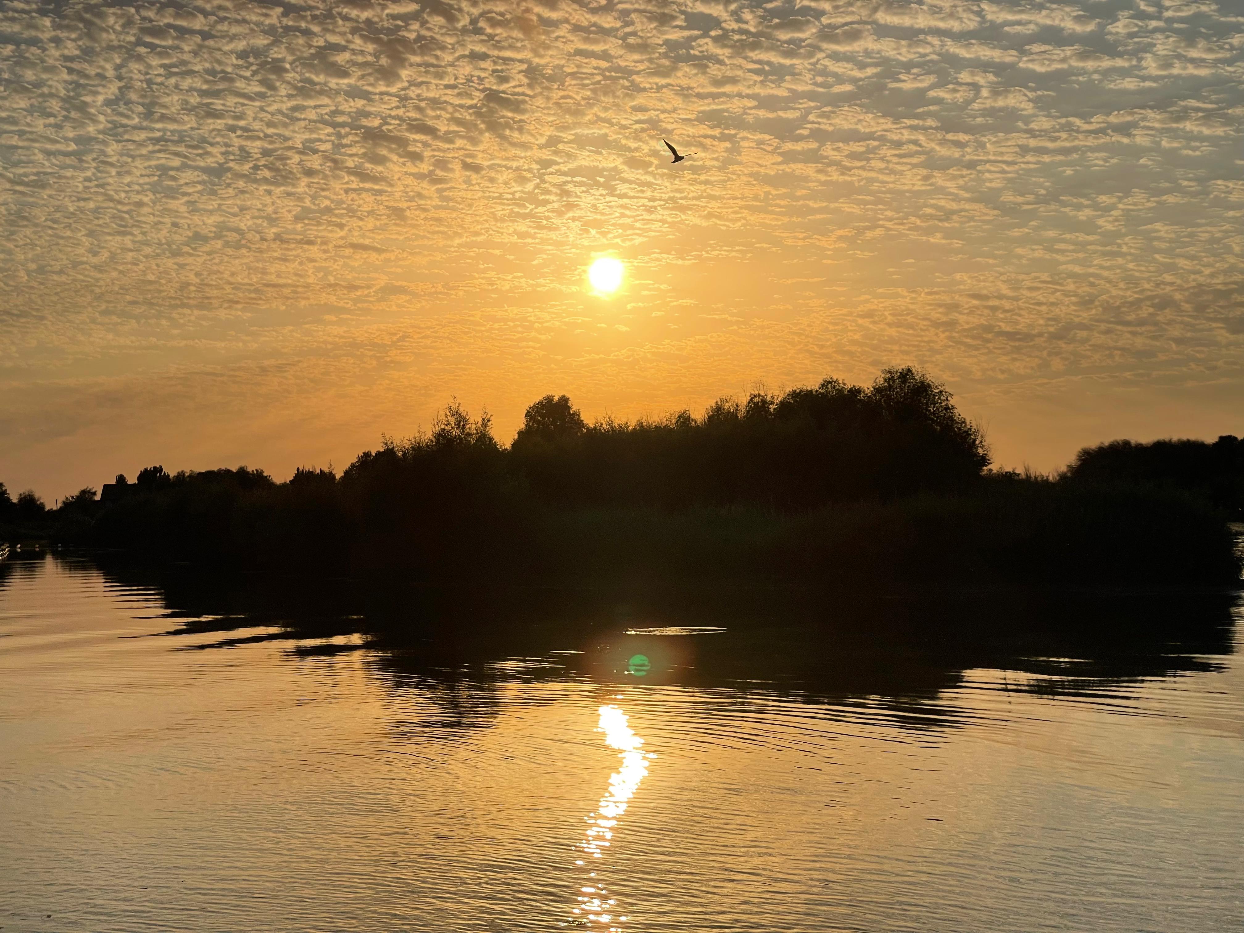 Фото Берлога