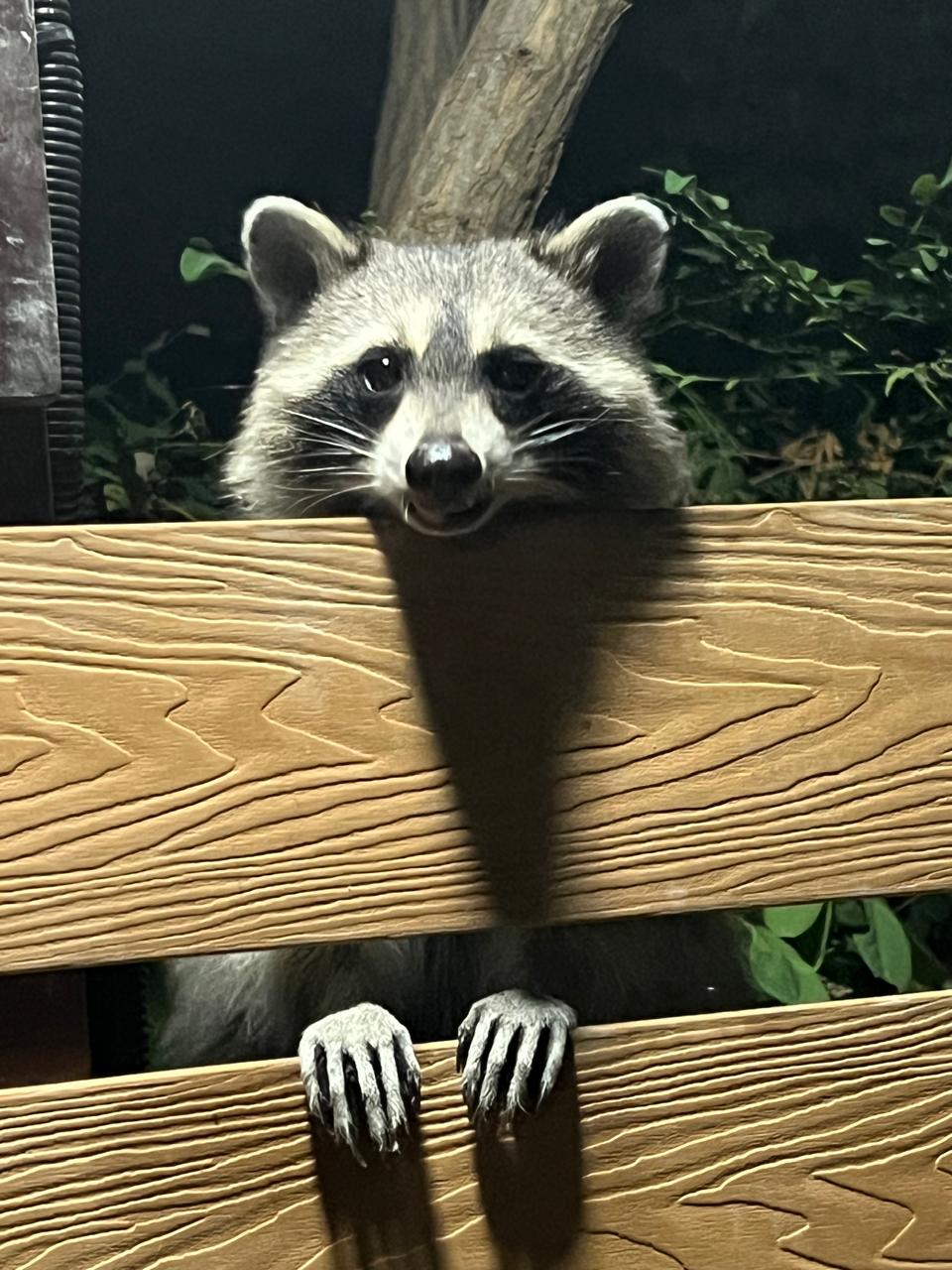 Фото Дом у моря