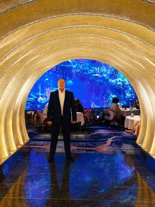 Al Mahara (Burj Al Arab, Umm Suqeim 3, Jumeirah, Dubai), restaurant