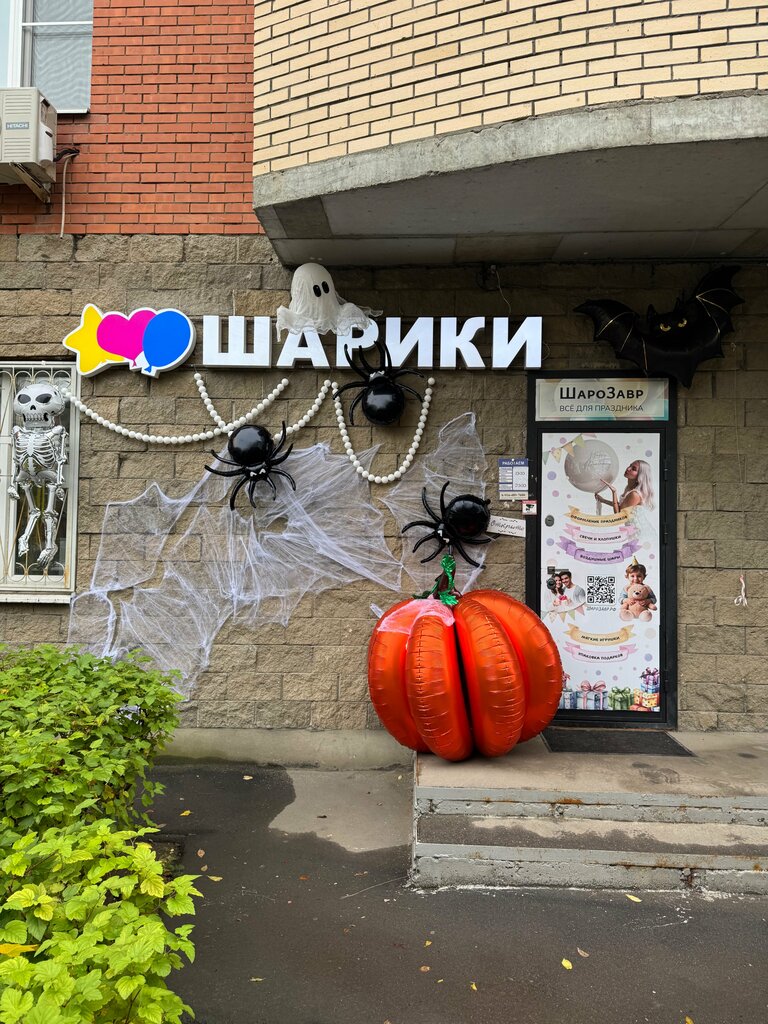 Gift and souvenir shop SharoZavr, Kotelniki, photo