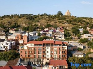 Гостиница Hotel Sole Palace