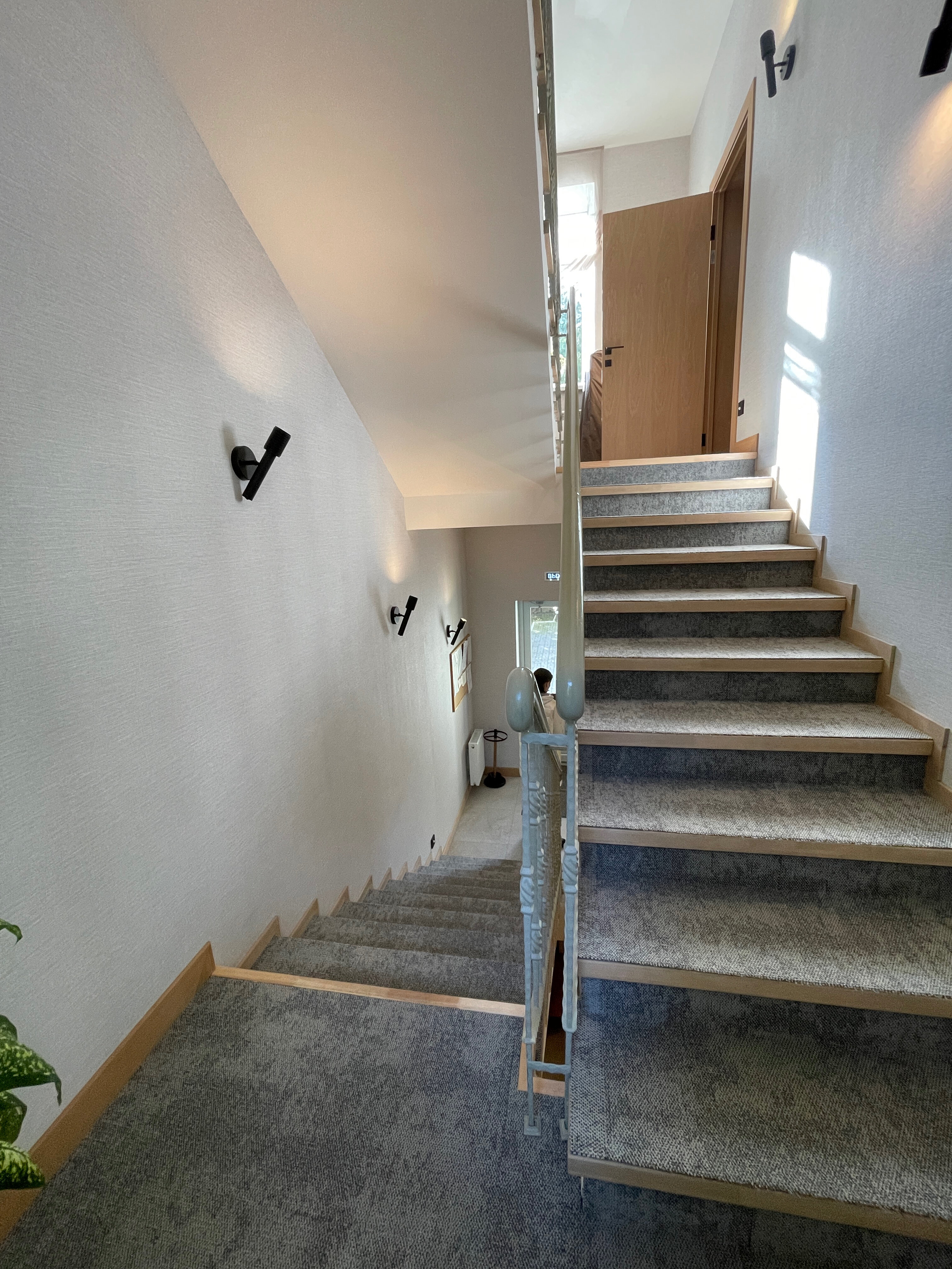 Фото Лес Георга