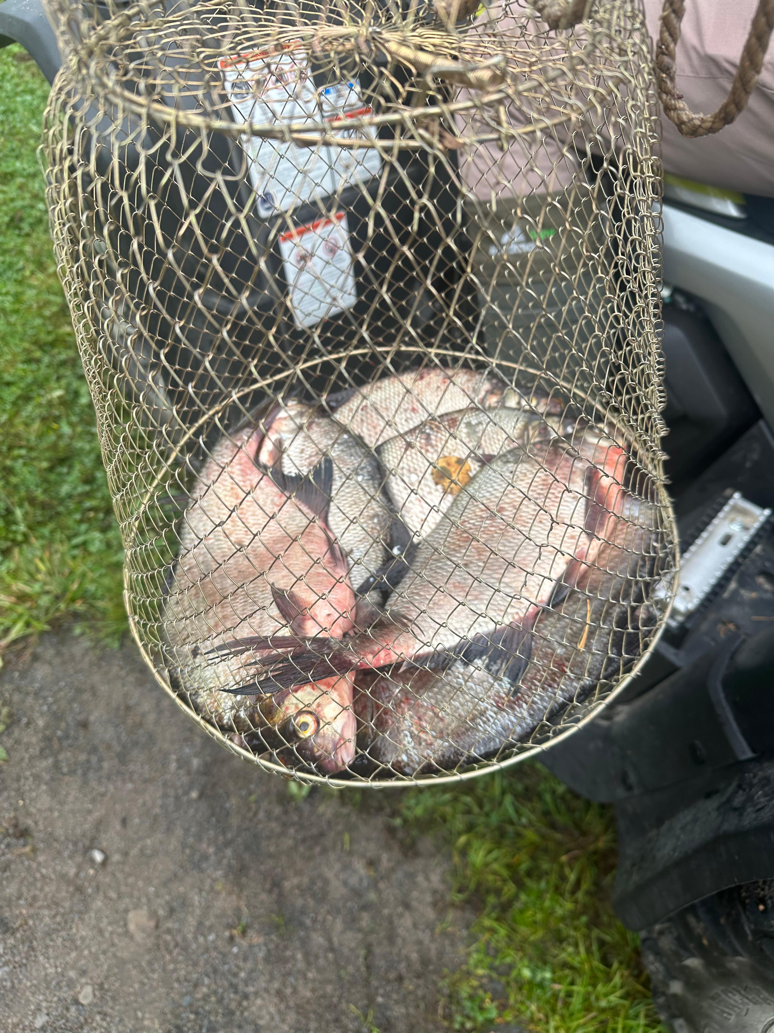 Фото Домик на берегу