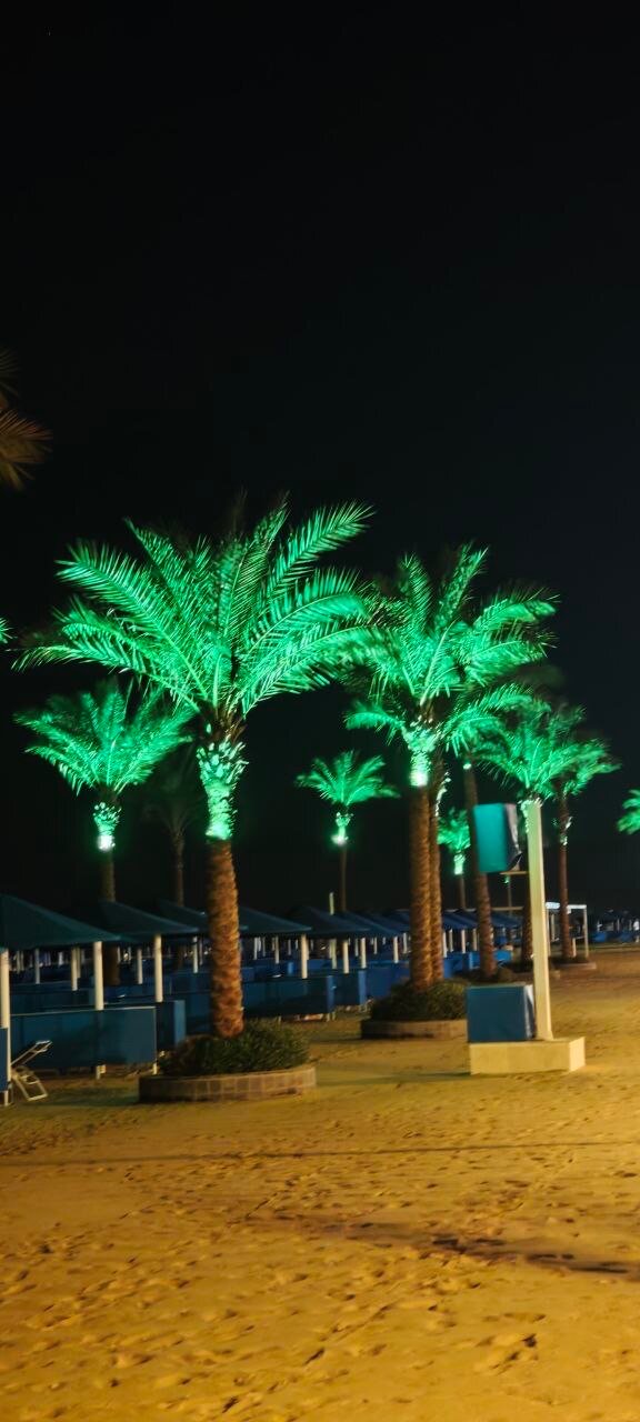 Фото Albatros Sea World Marsa Alam