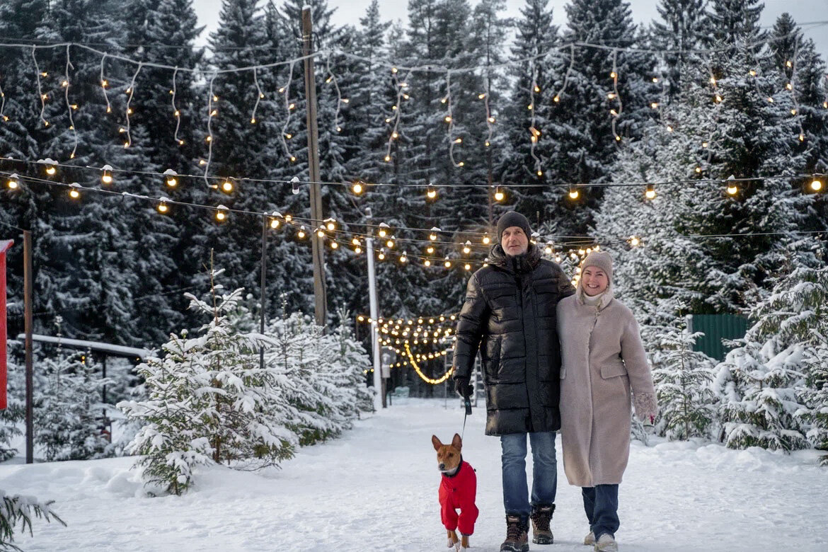 Фото Гусихаус