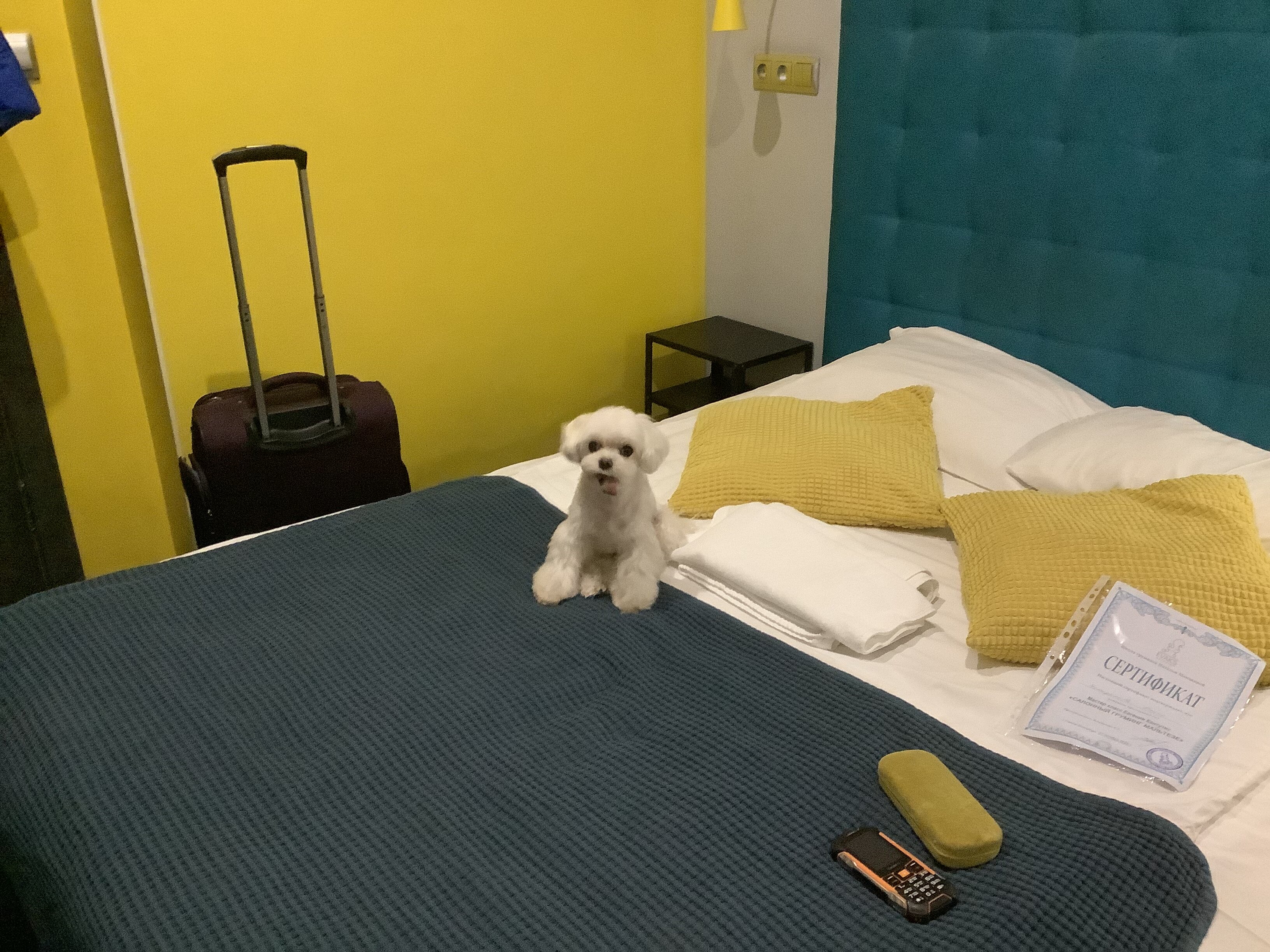 Фото Фьордик у Летнего сада