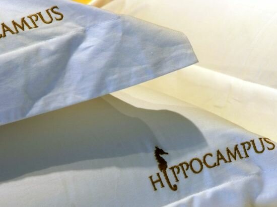 Фото Hippocampus