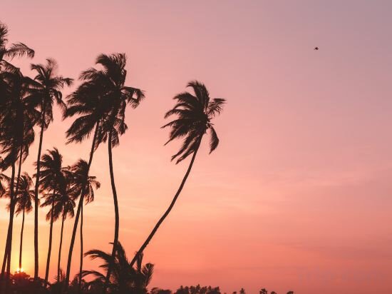 Фото Jetwing Surf