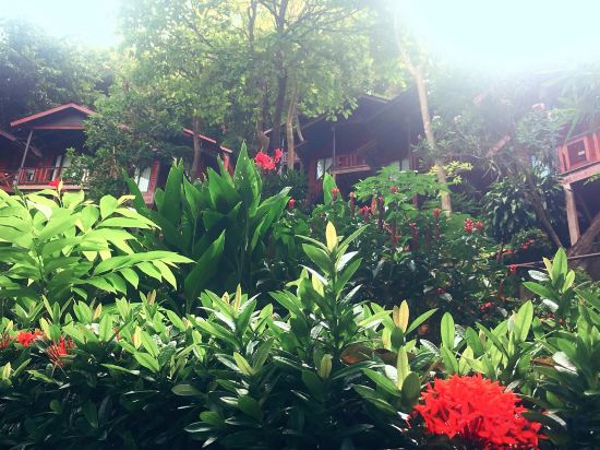 Фото Phi Phi Green Hill Resort