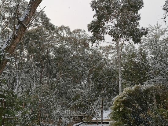 Фото Sinofield Edu-Retreat