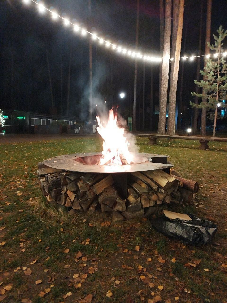 Фото Изумрудное