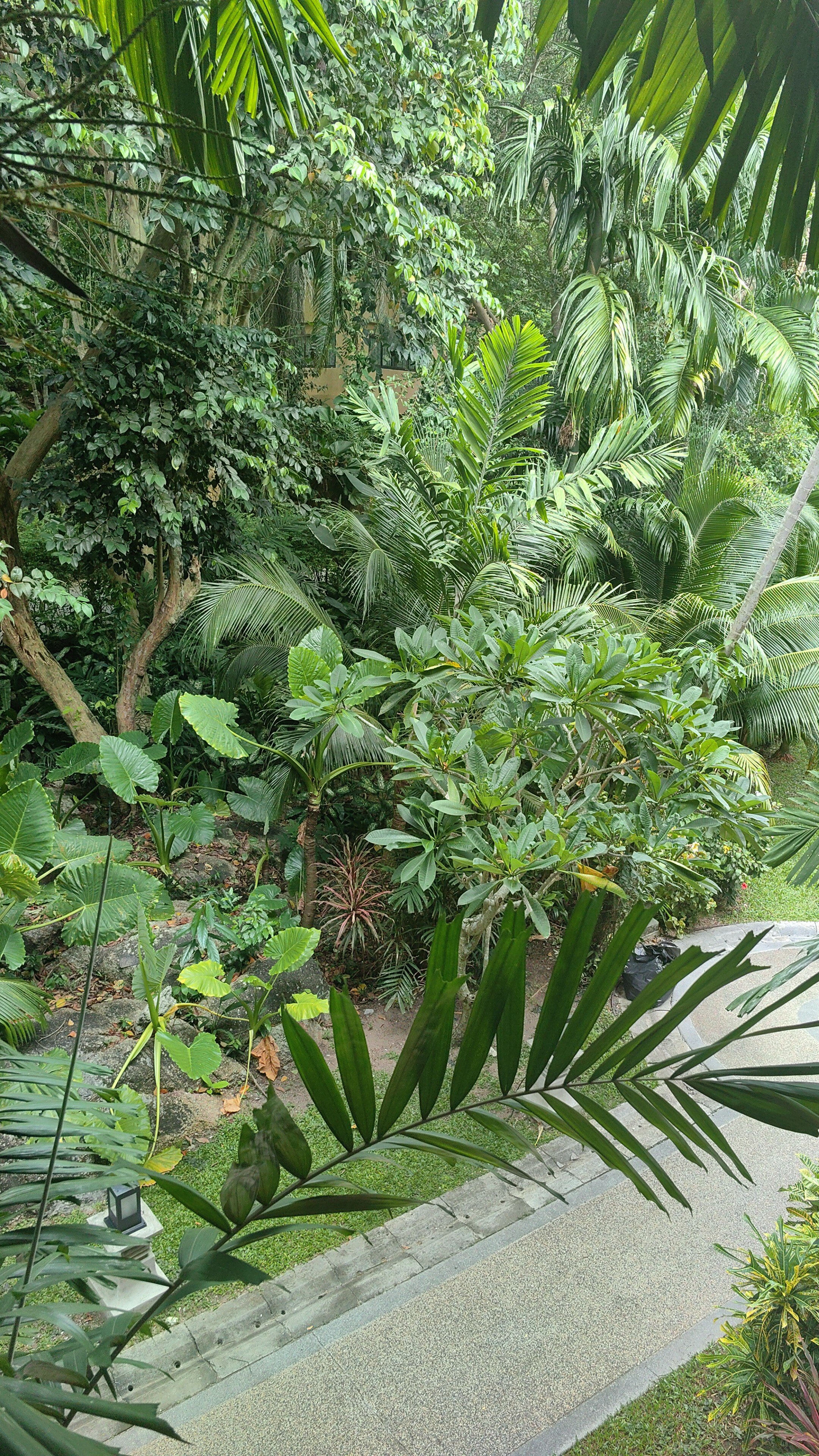 Фото The Fair House Beach Resort & Hotel