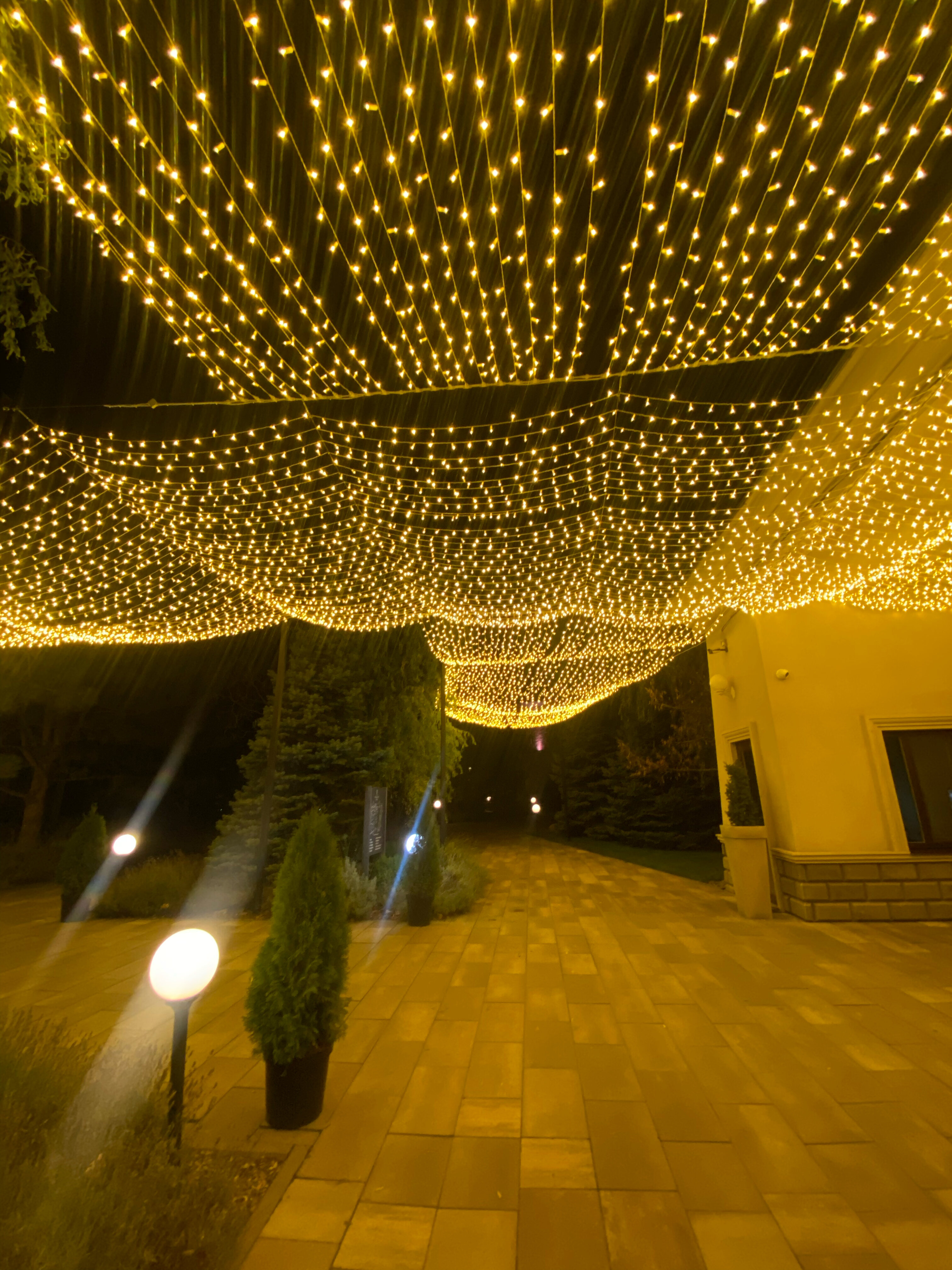 Фото Графский парк