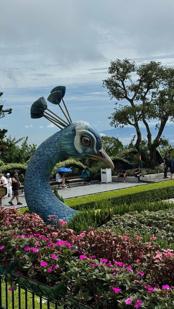 Amusement park Fantasy Park, Earth, photo