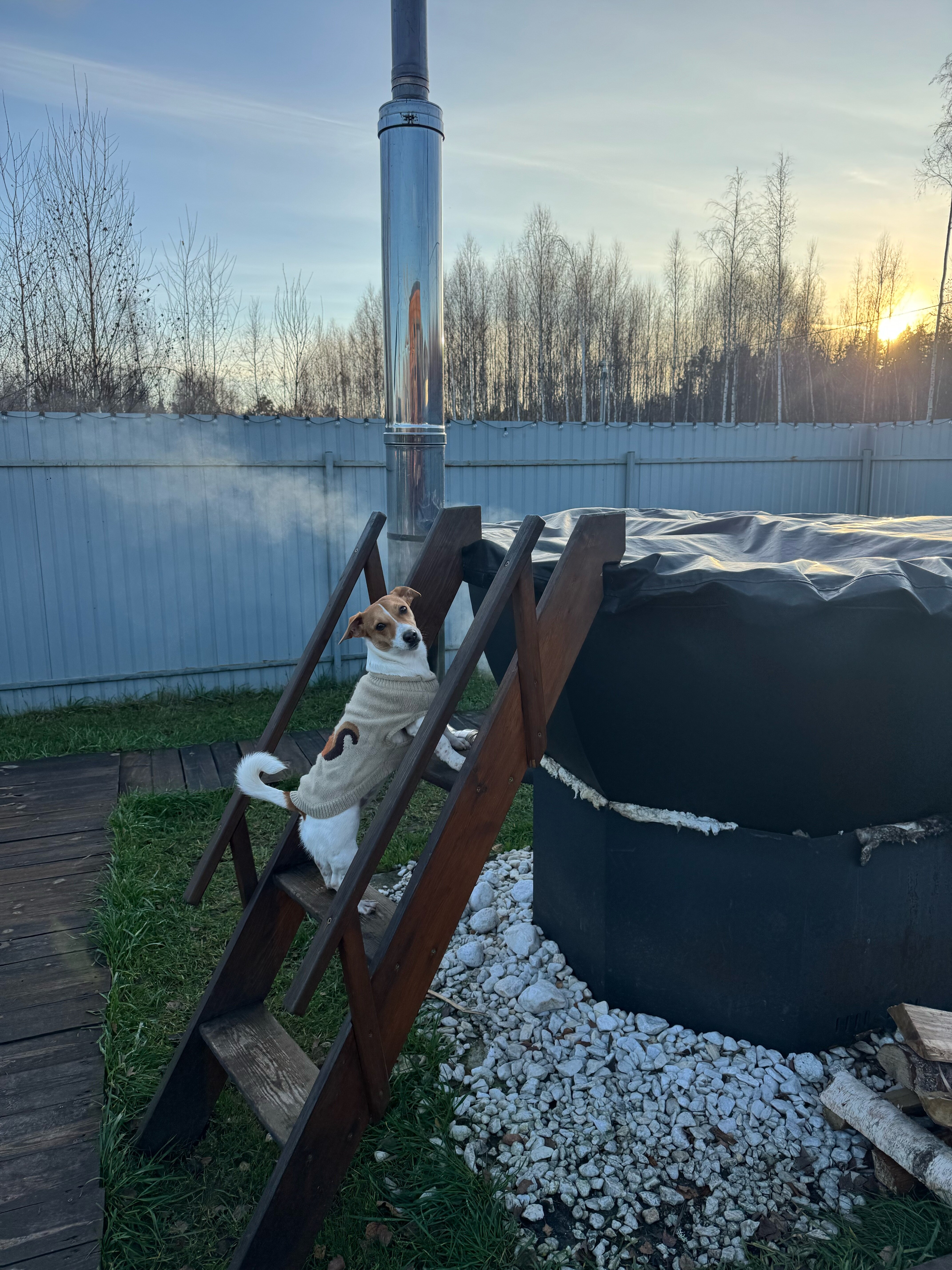 Фото Горький Виледж