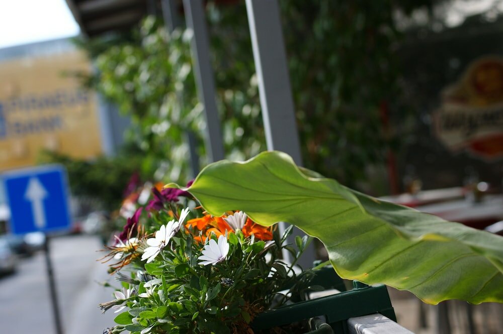 Фото ATM Centre Hotel